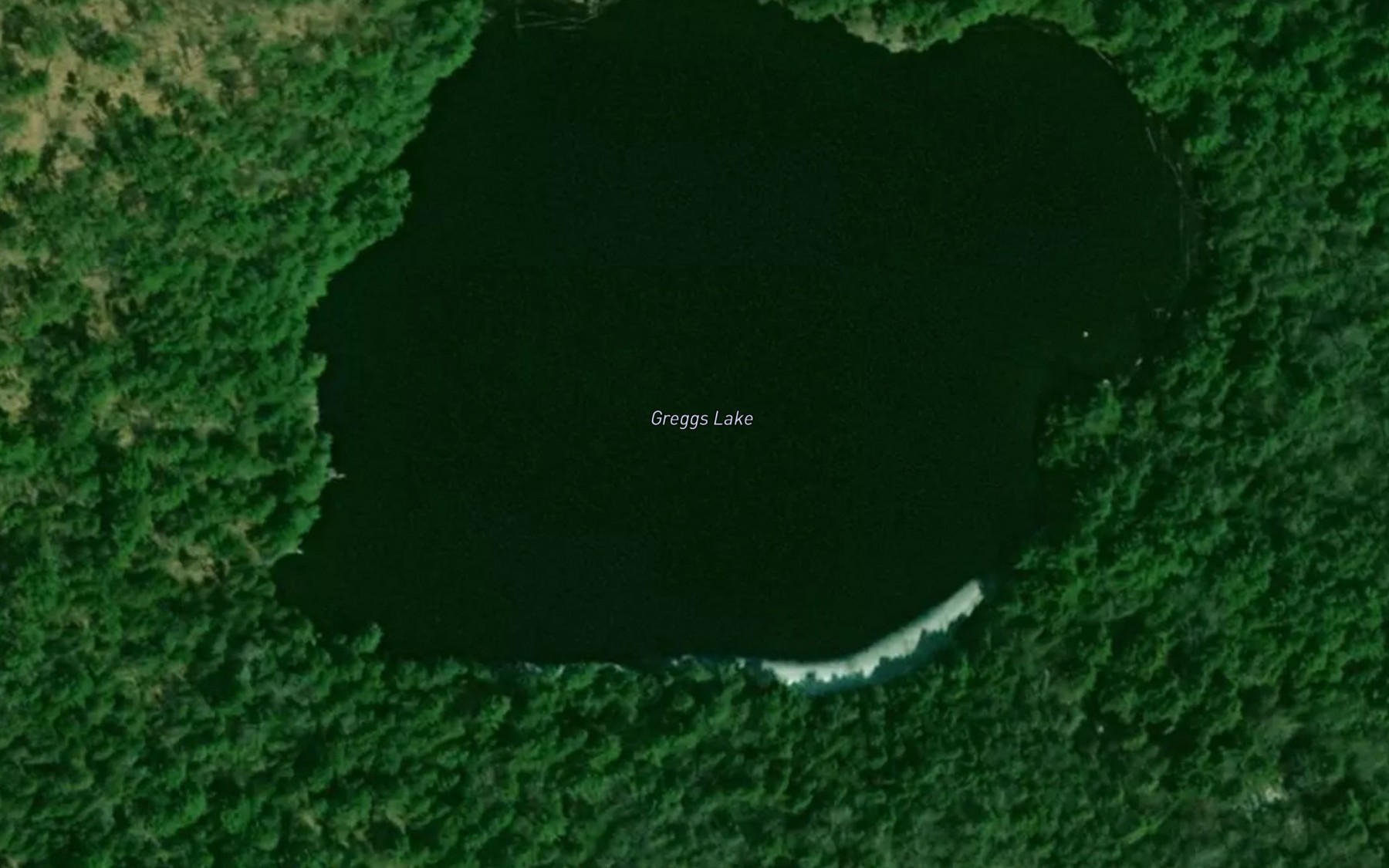 Satellite map of the Greggs Lake