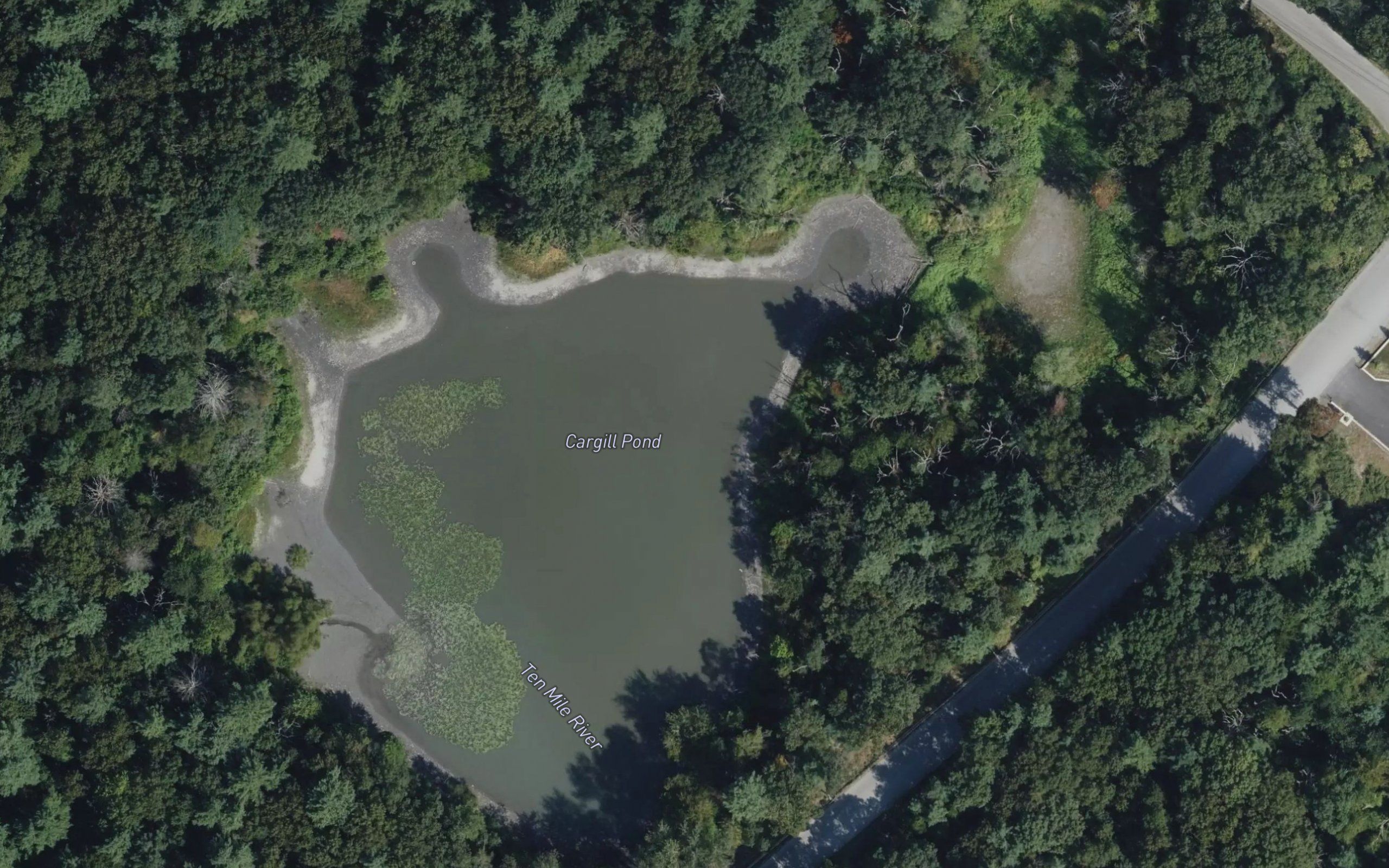 Cargill Pond