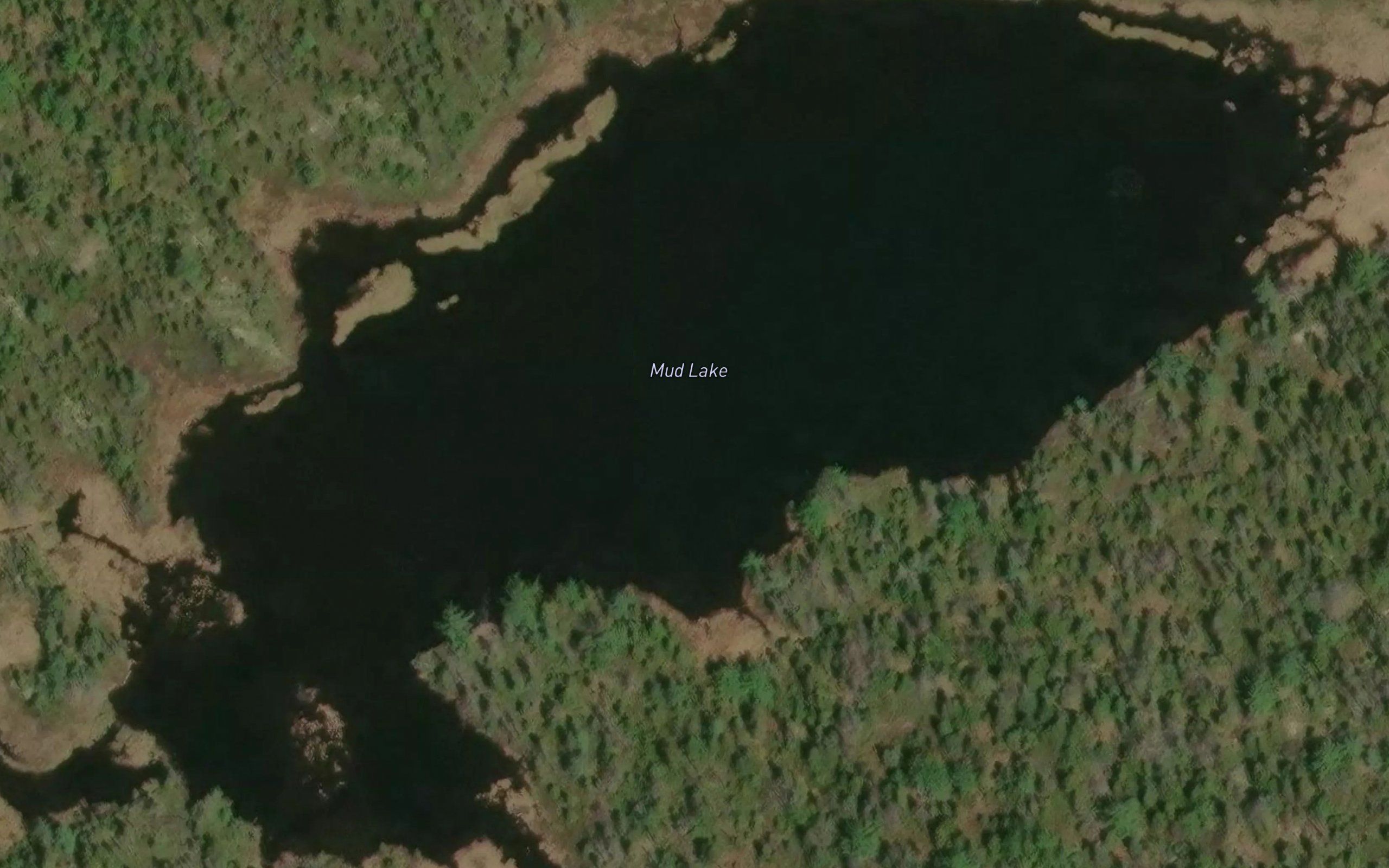 Mud Lake