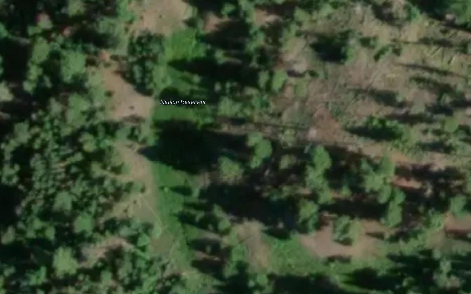Satellite map of the Nelson Reservoir