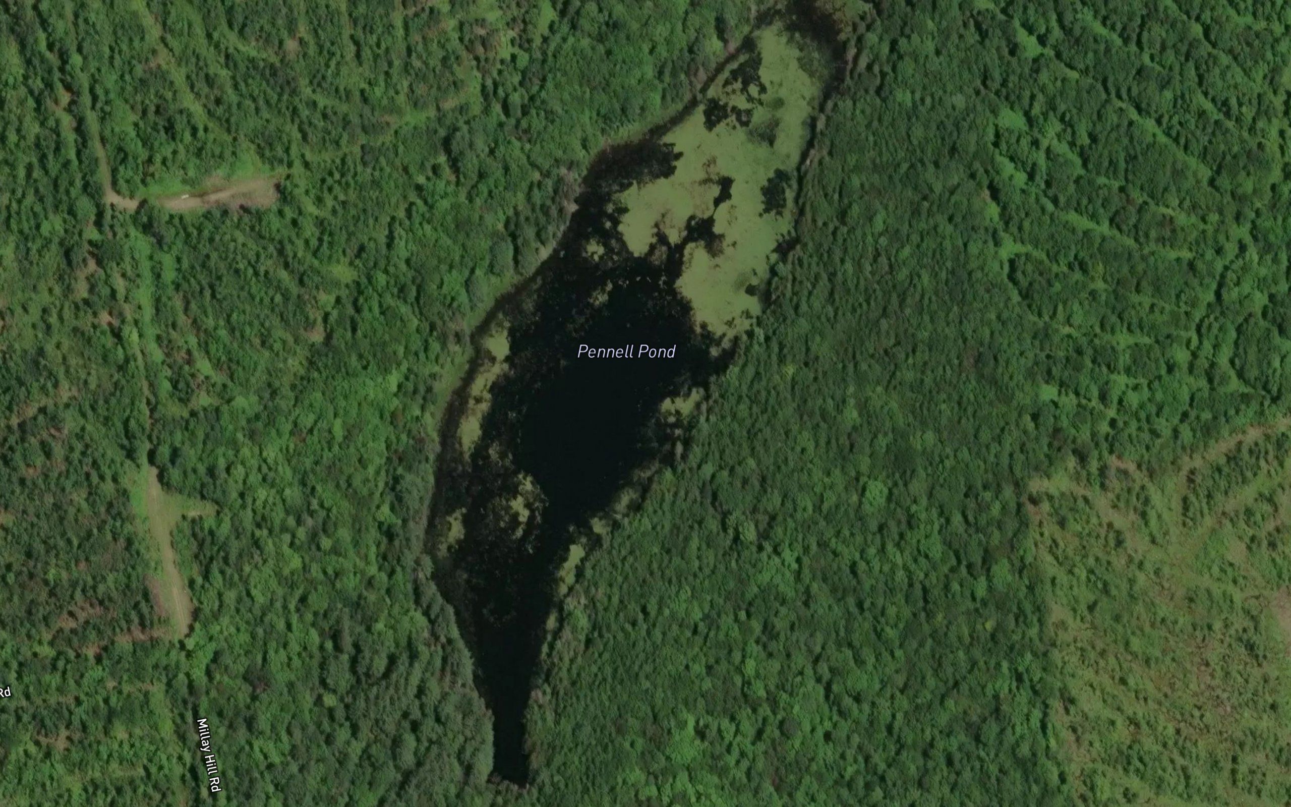 Pennell Pond