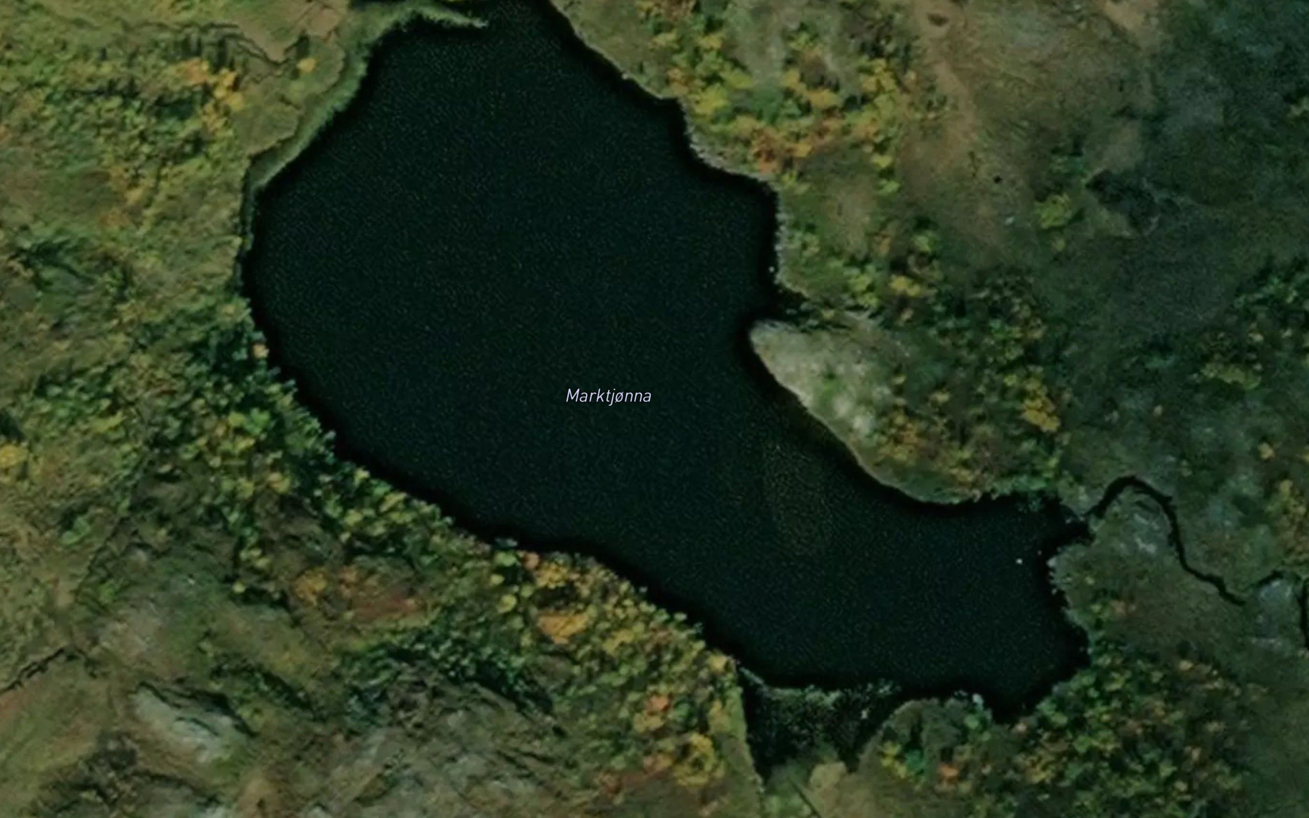Marktjorna