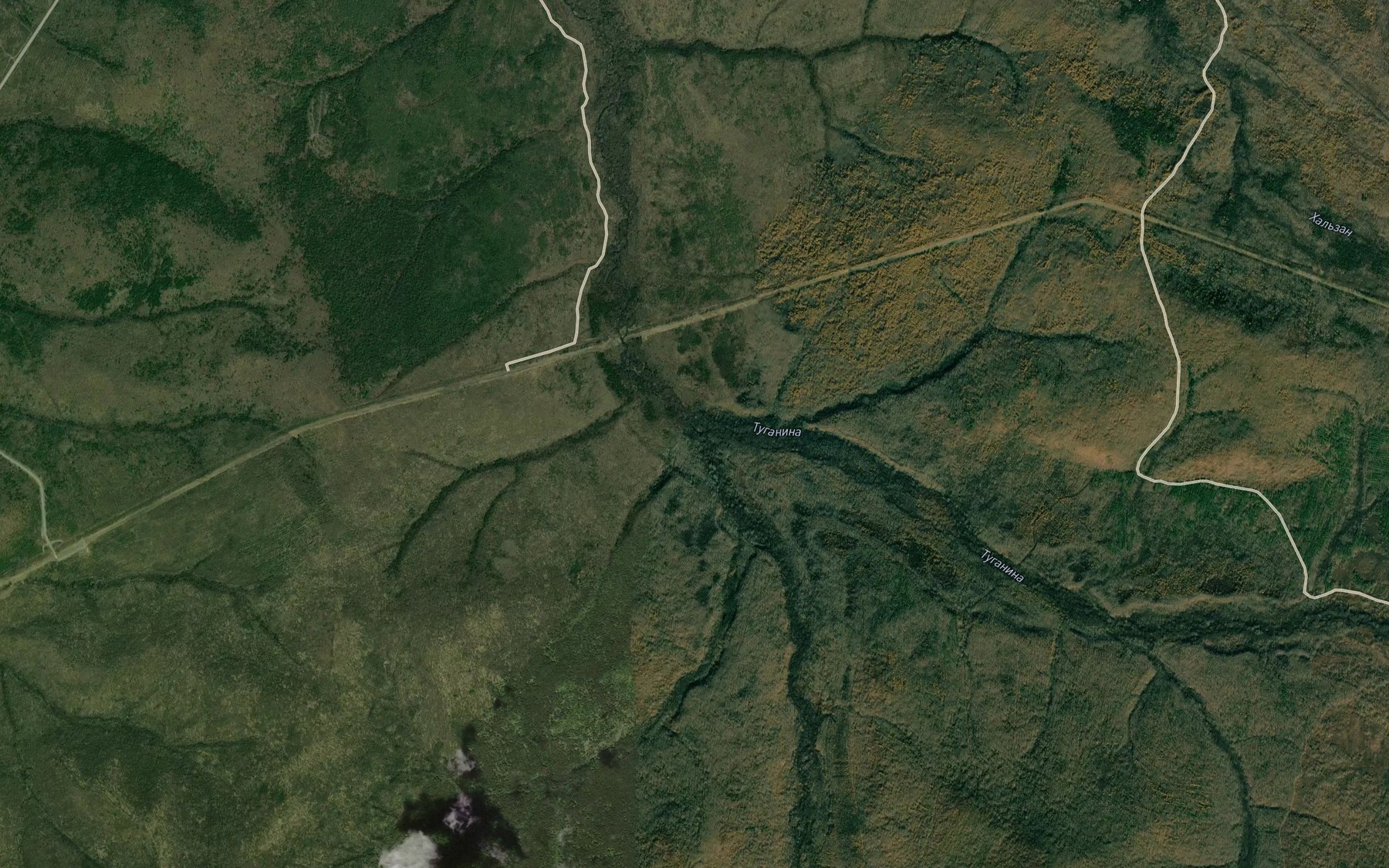 Satellite map of the Levaya Tuganina