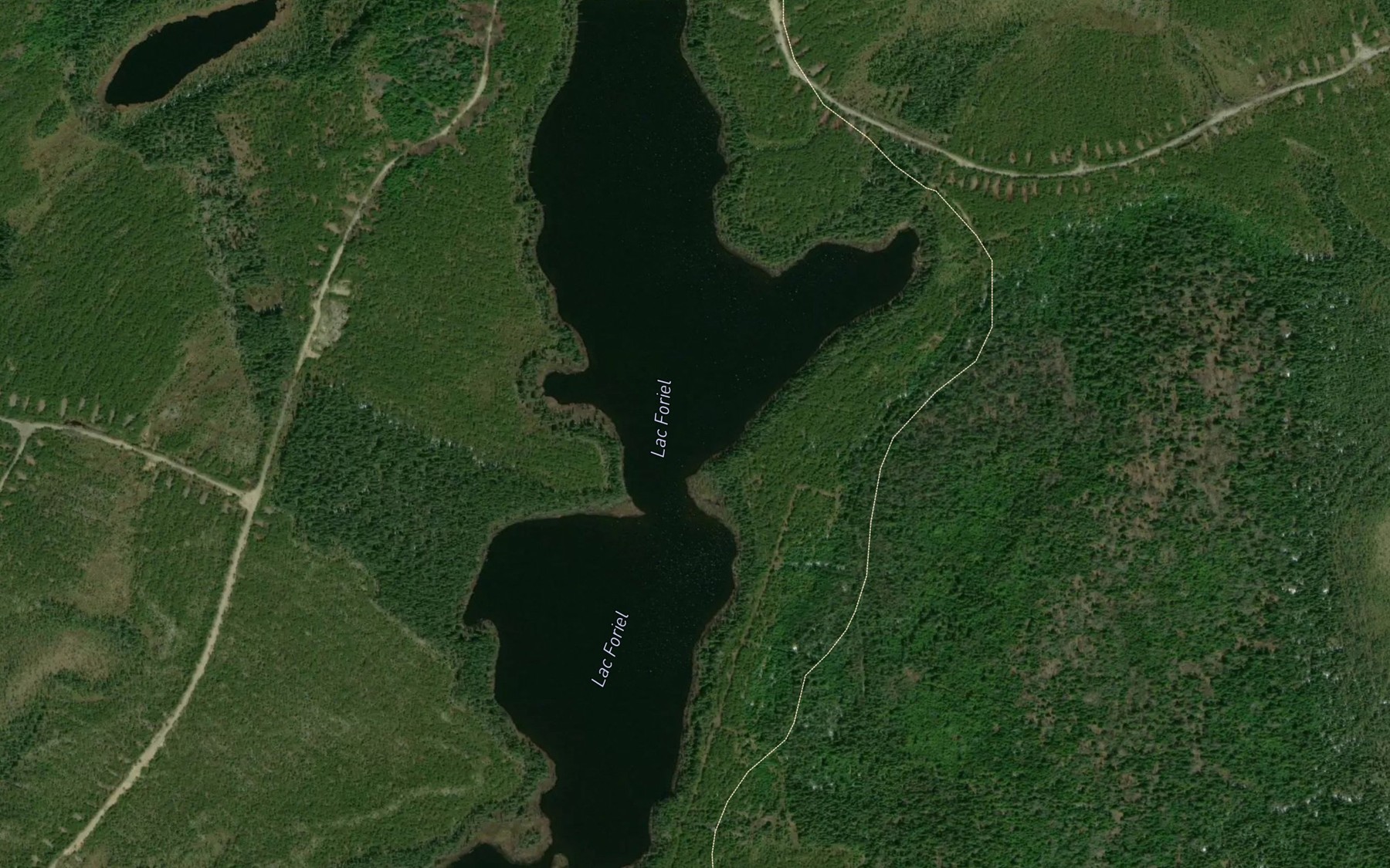 Satellite map of the Lac Foriel