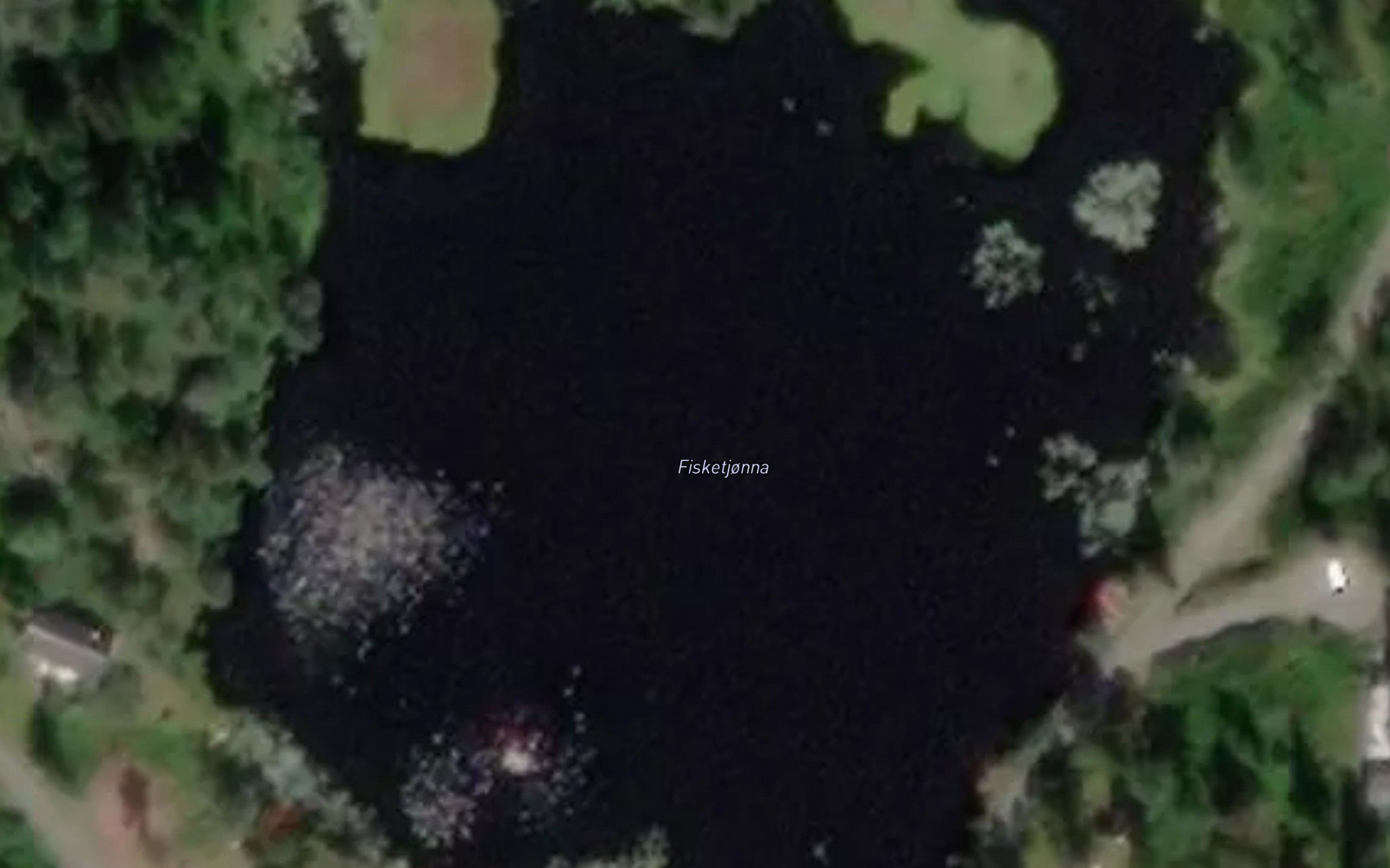 Fisketjorna