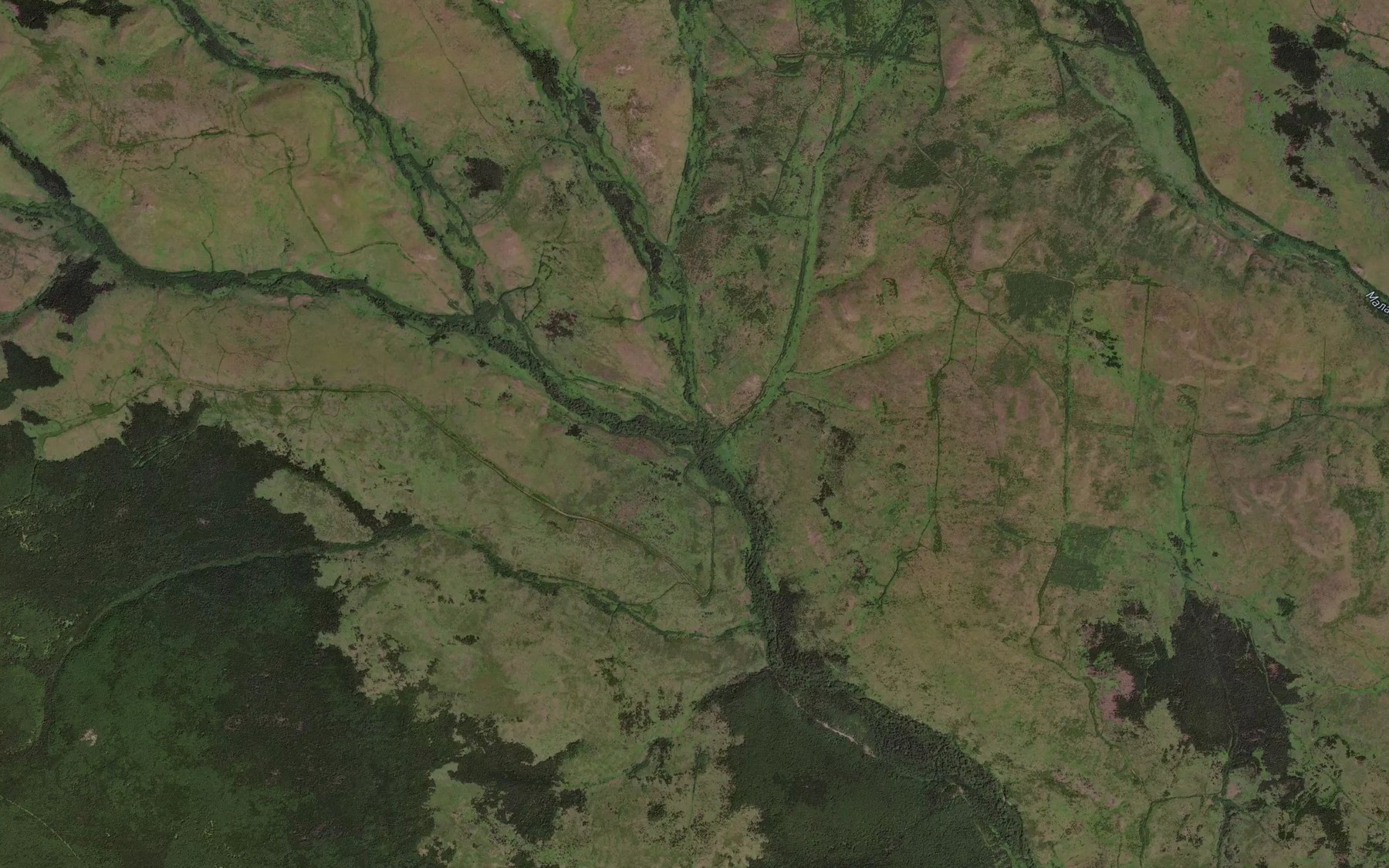 Satellite map of the Pryamoy