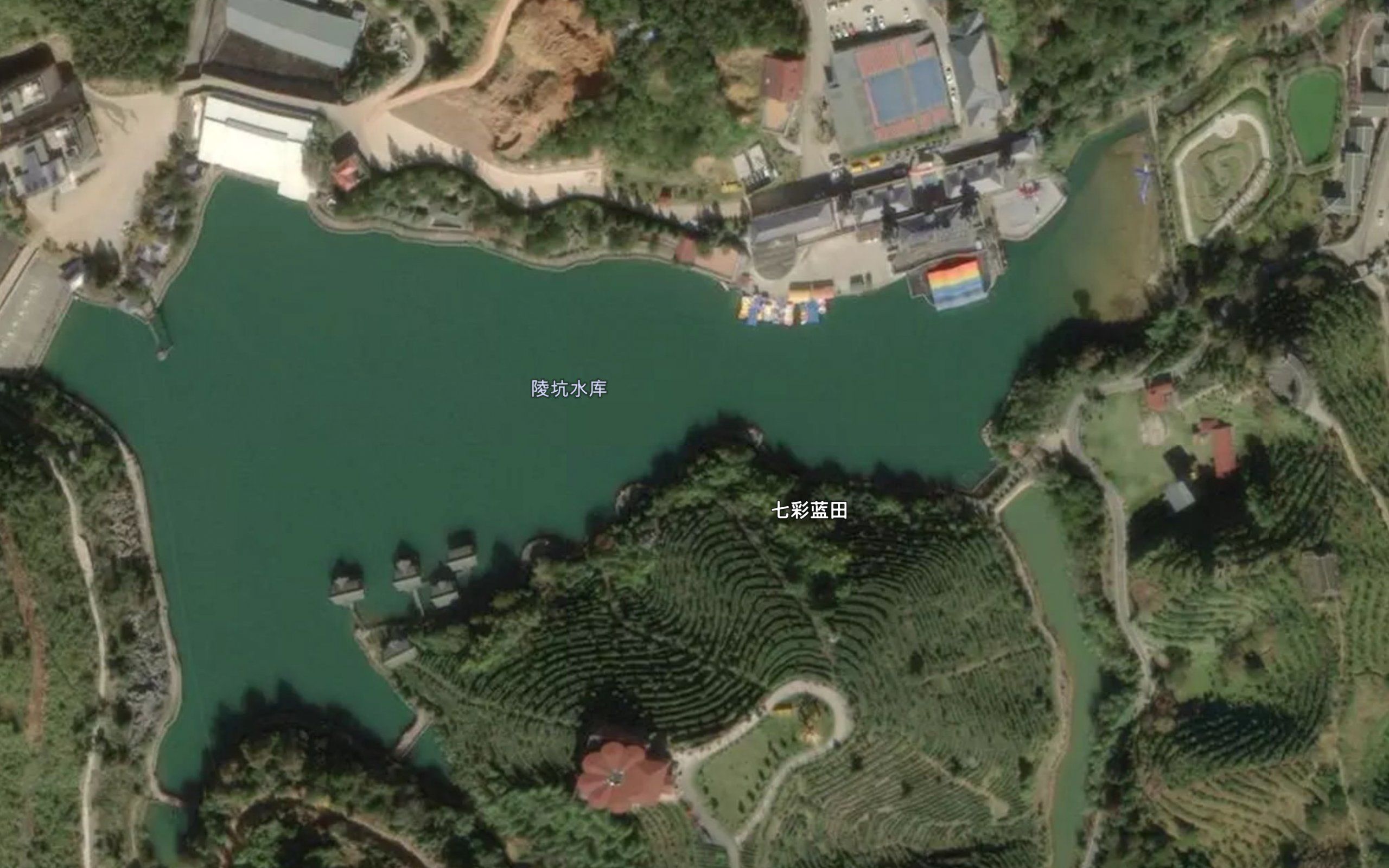 Lengkeng Shuiku