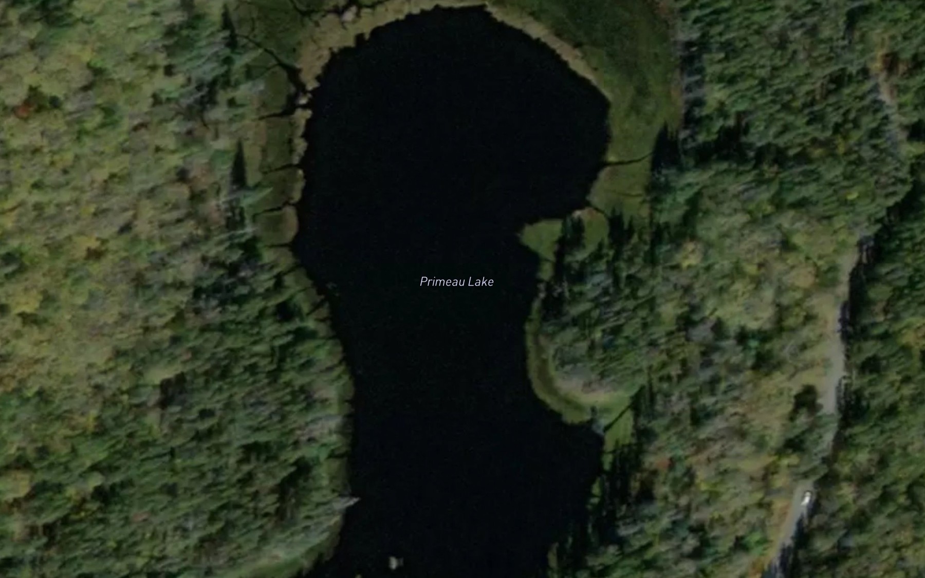 Satellite map of the Primeau Lake