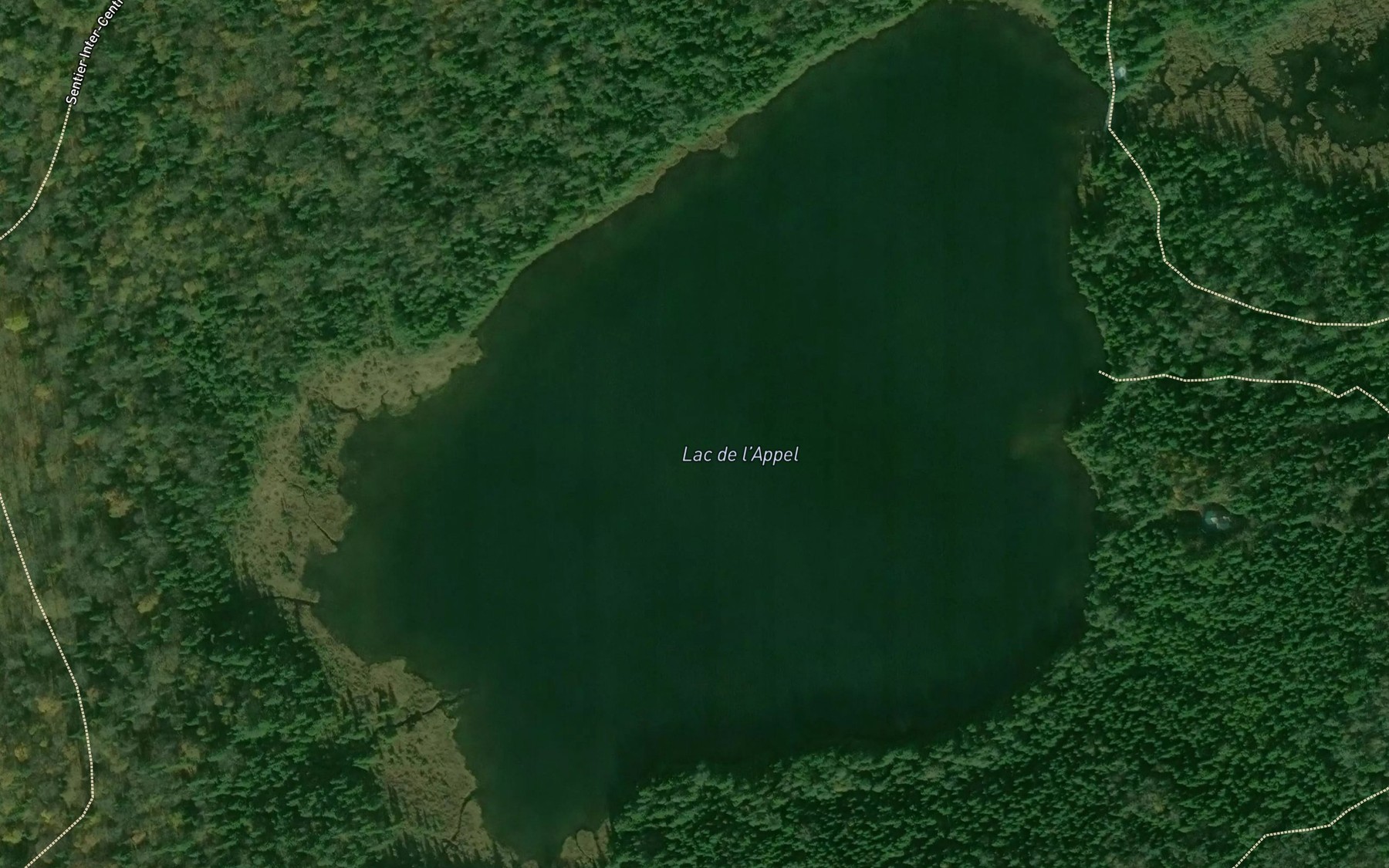 Satellite map of the Lac de l'Appel