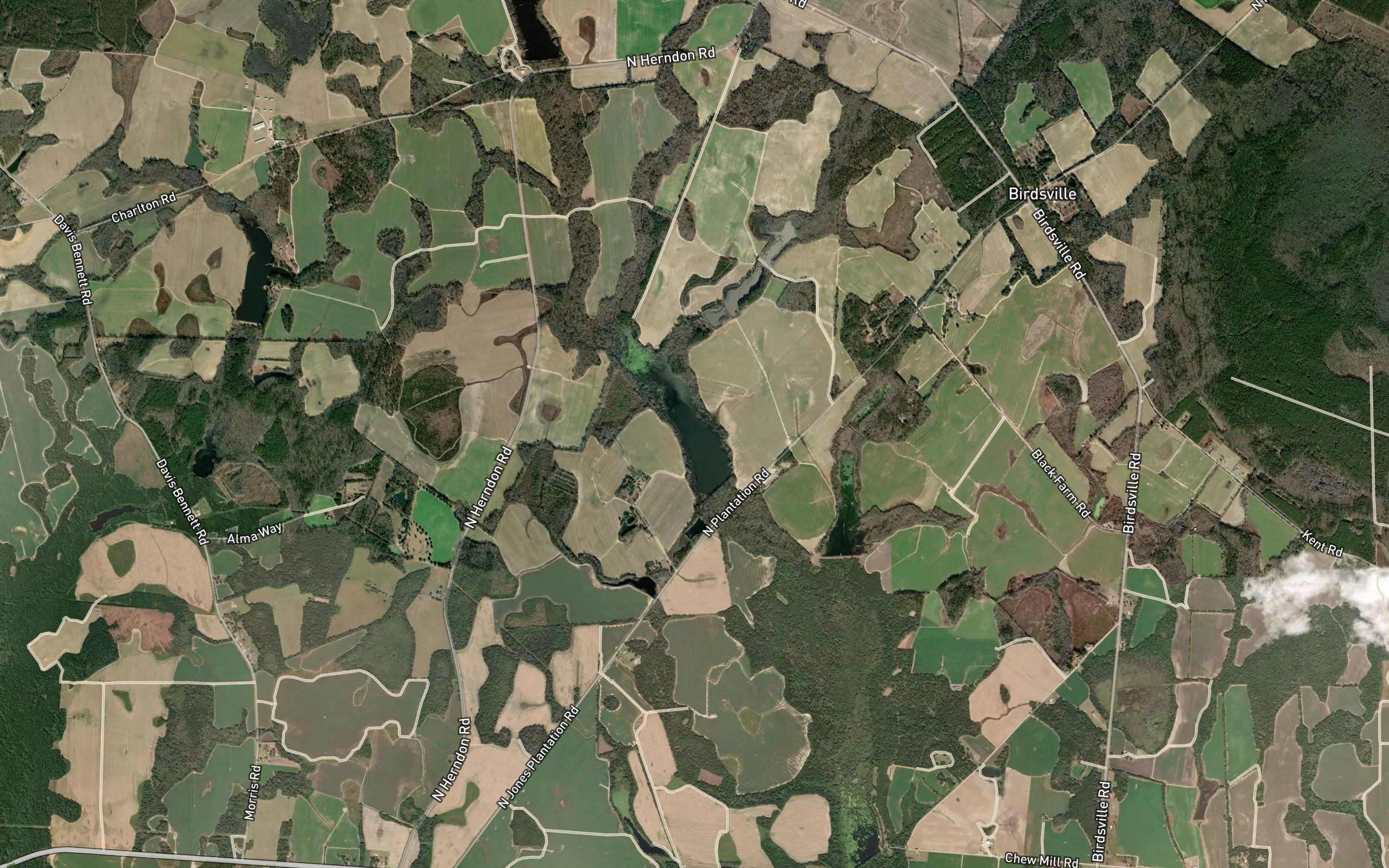 Brinson Lake