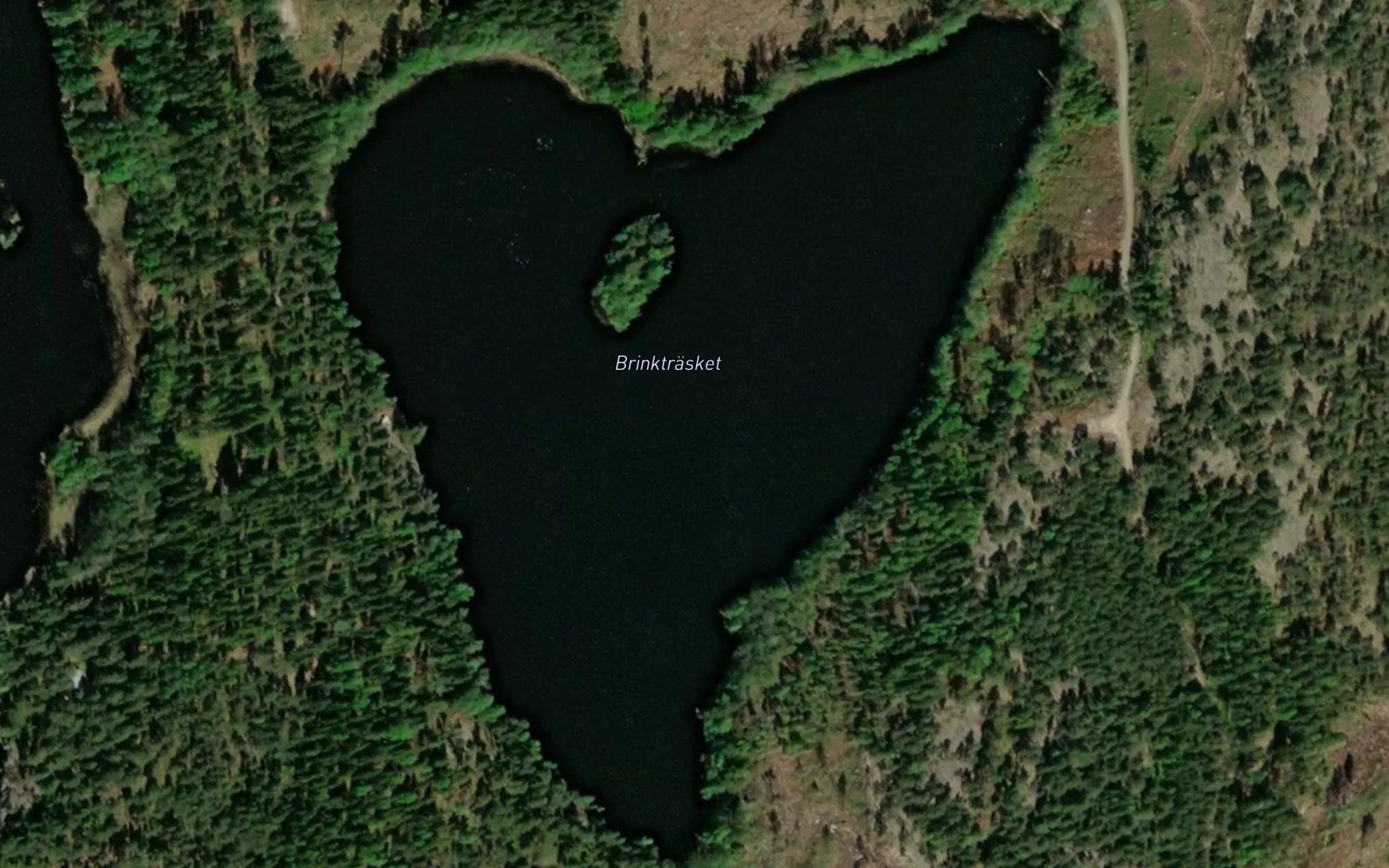 Brinktrasket