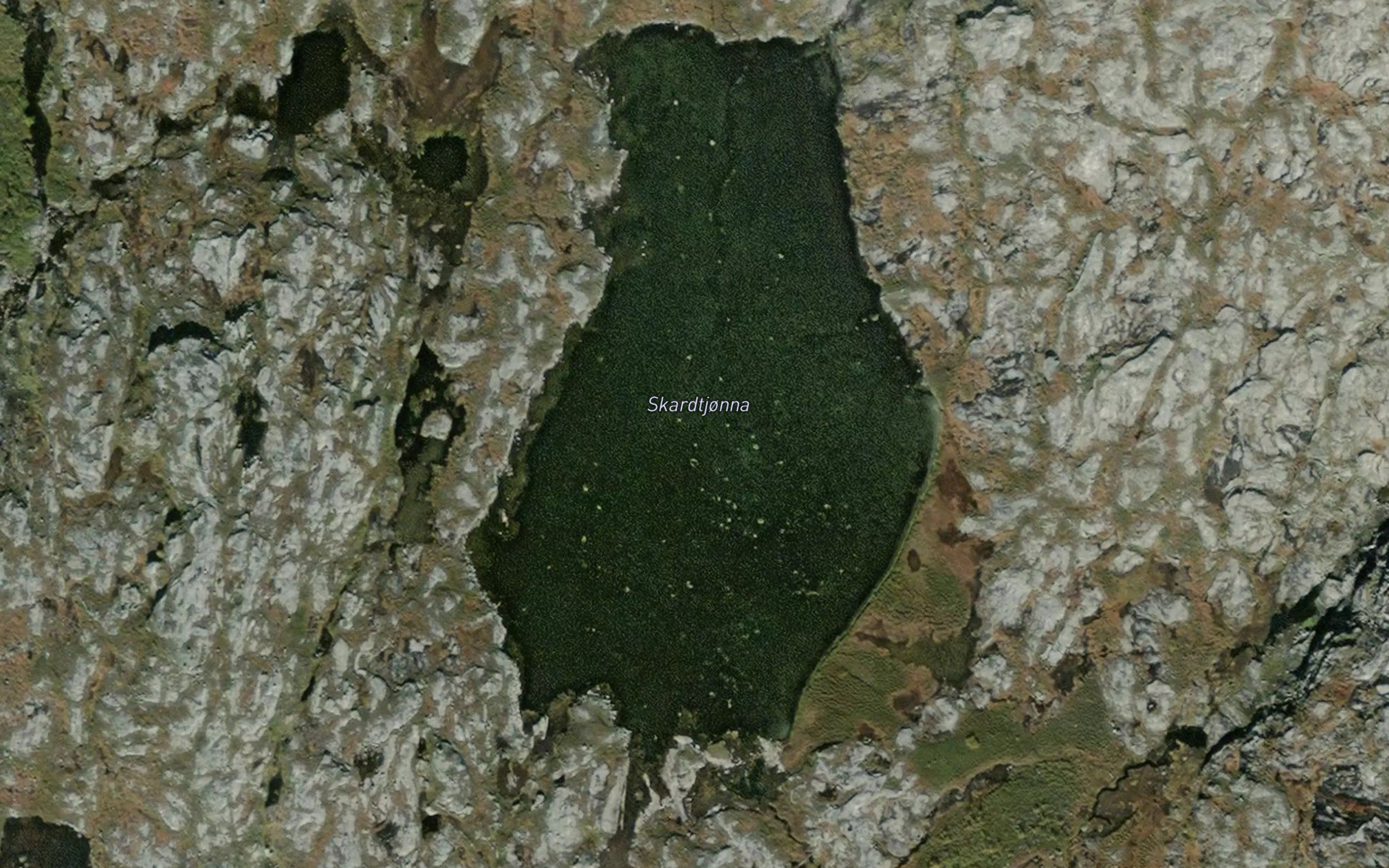 Skardtjorna