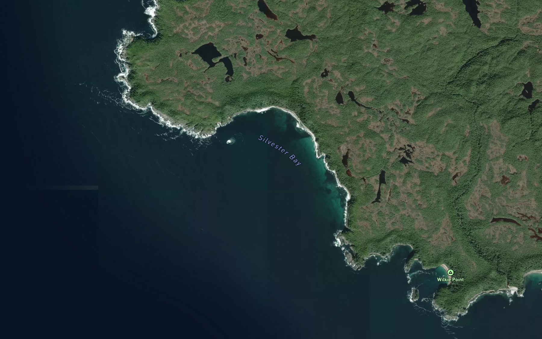 Satellite map of the Silvester Bay
