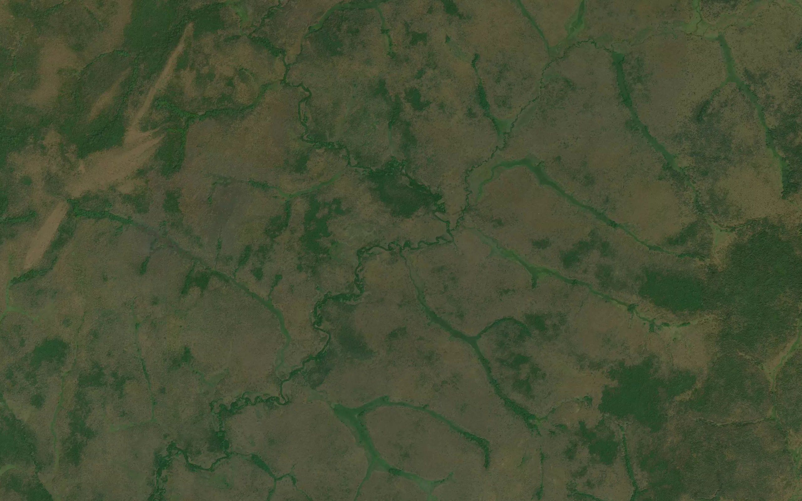 Nambili