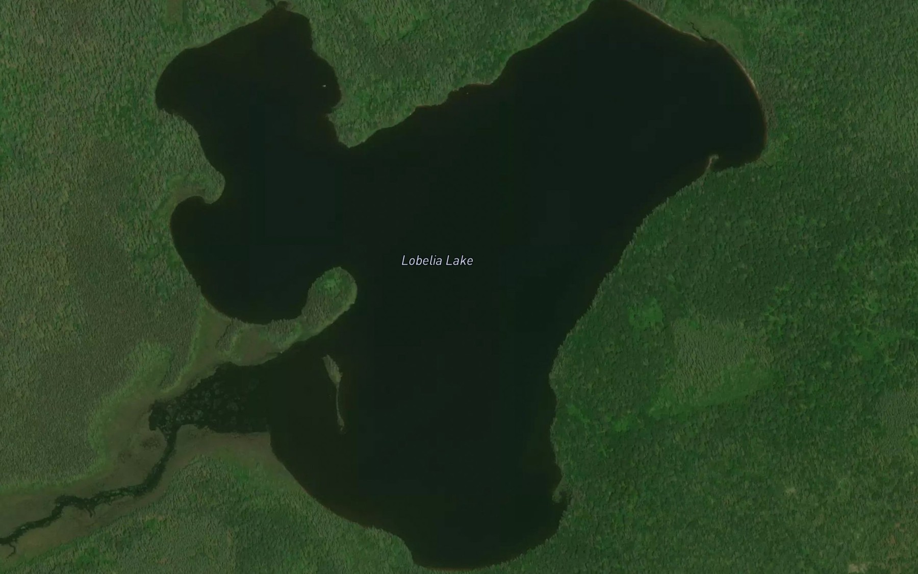 Satellite map of the Lobelia Lake