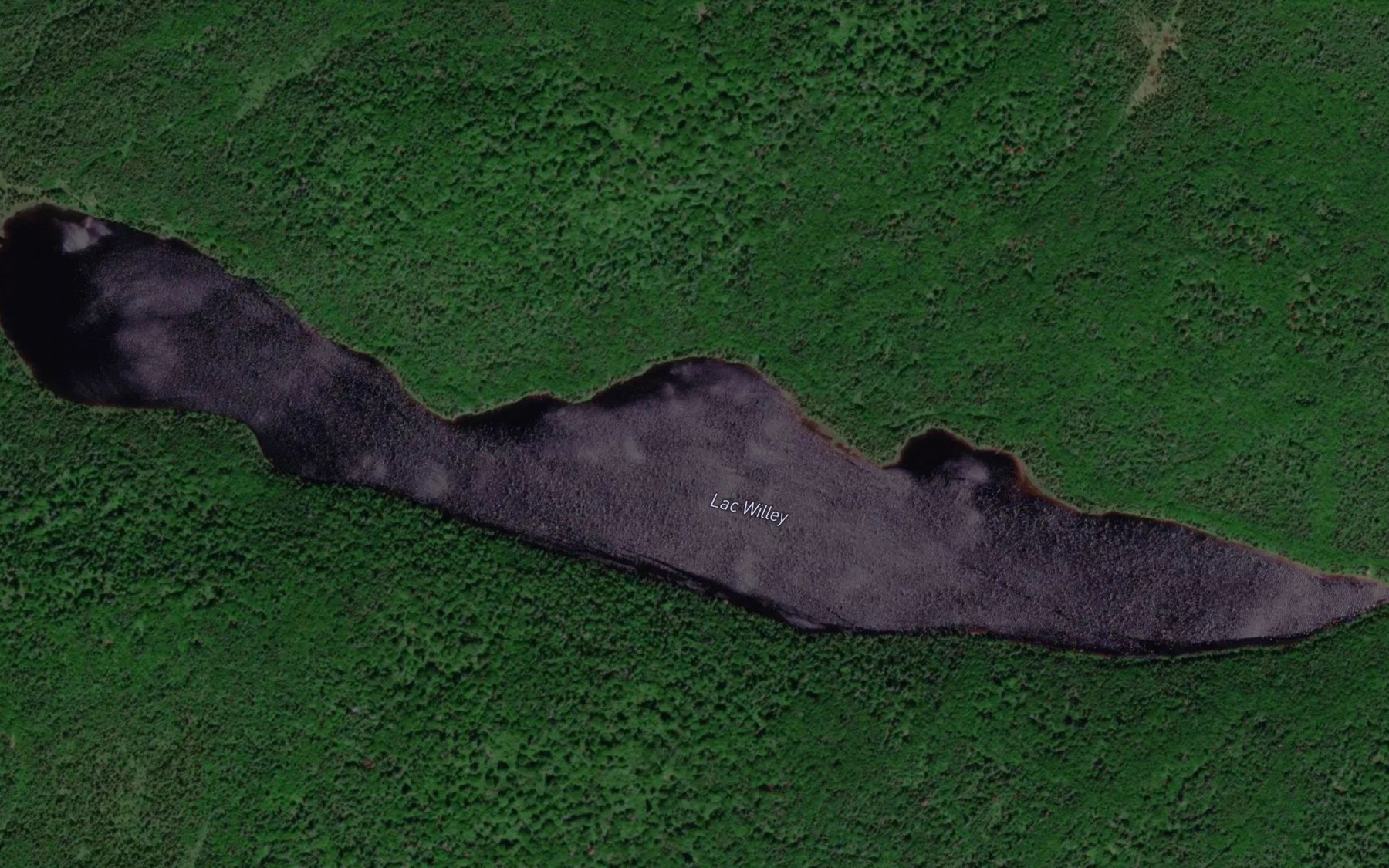 Satellite map of the Lac Willey