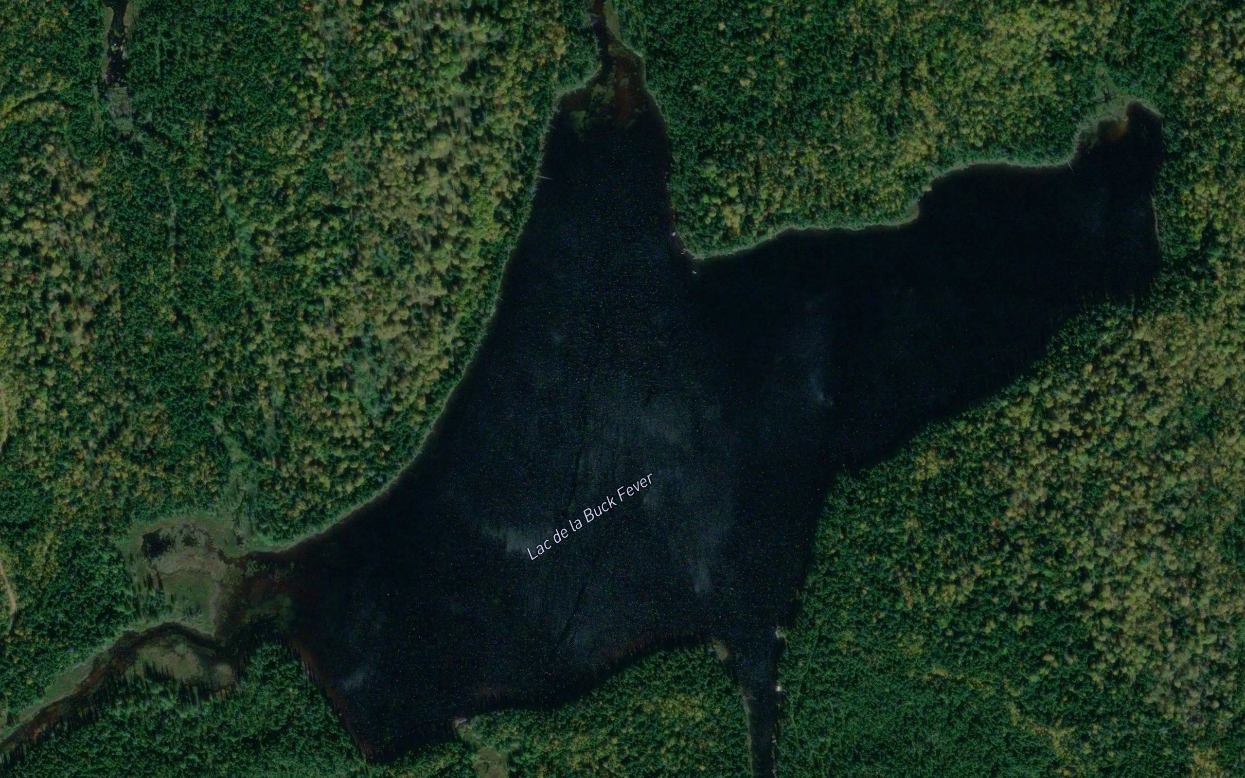 Lac de la Buck Fever
