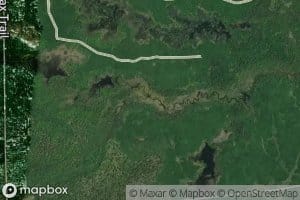 South Branch Linton Creek