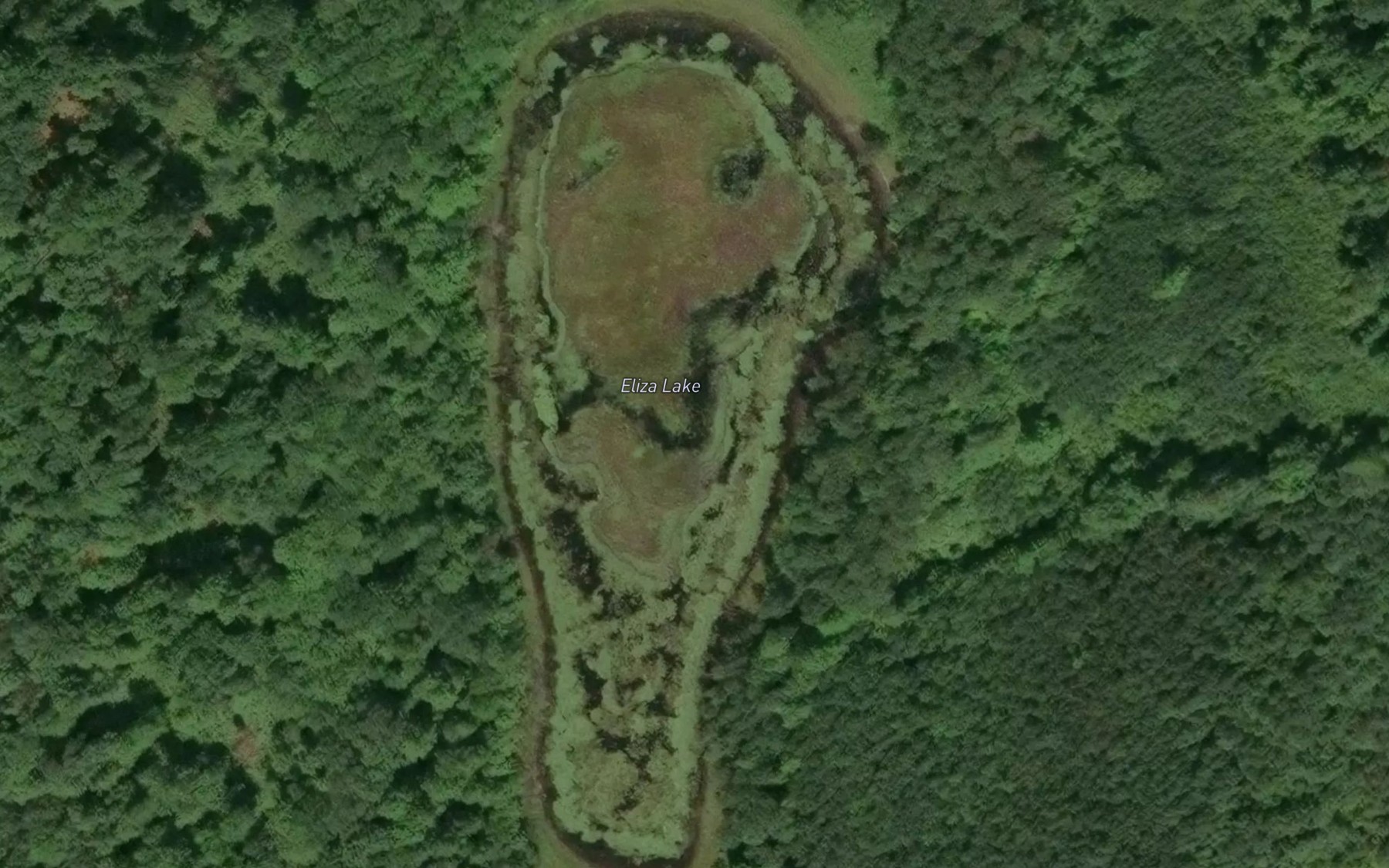 Satellite map of the Eliza Lake