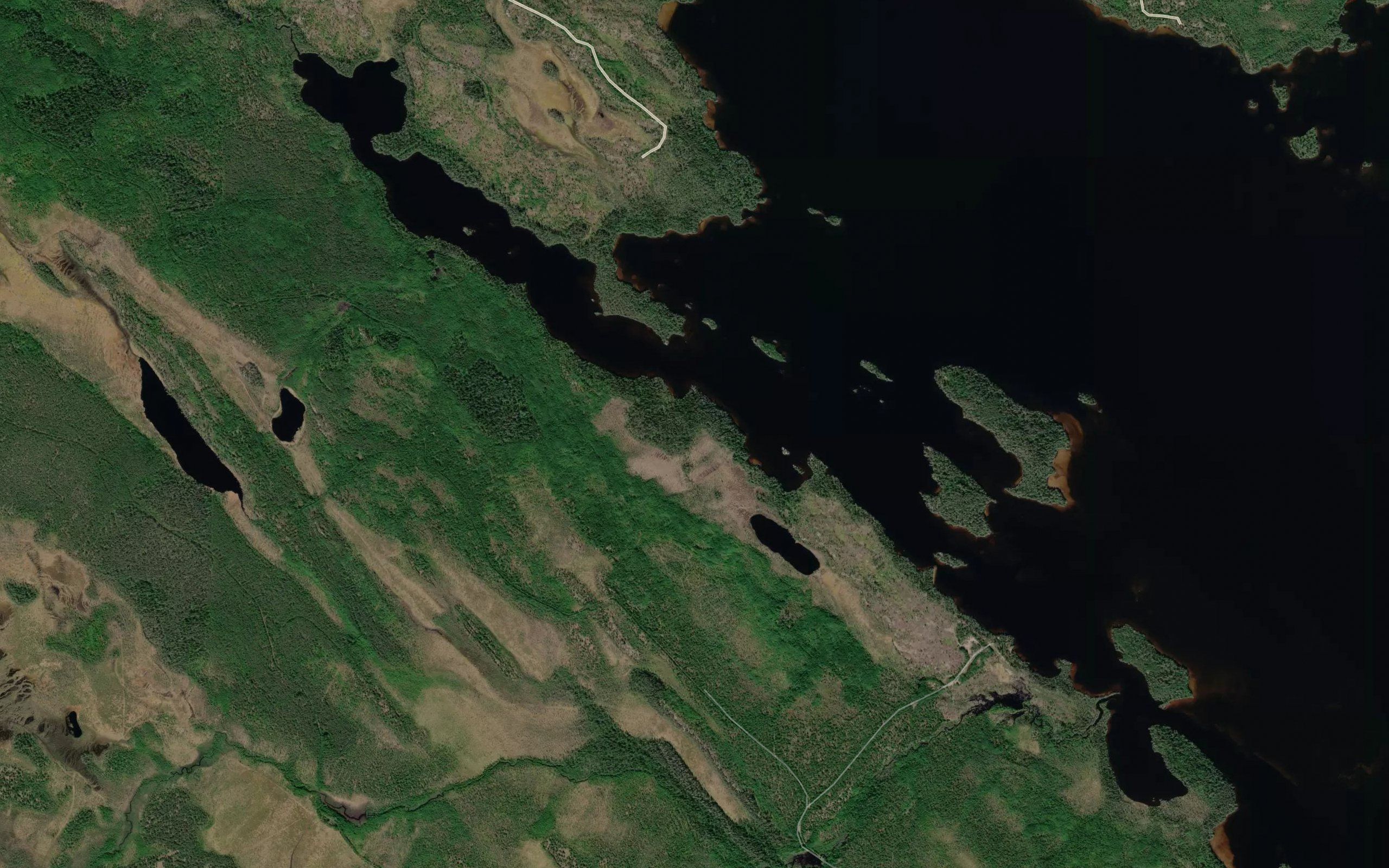 Shardovarovskiy