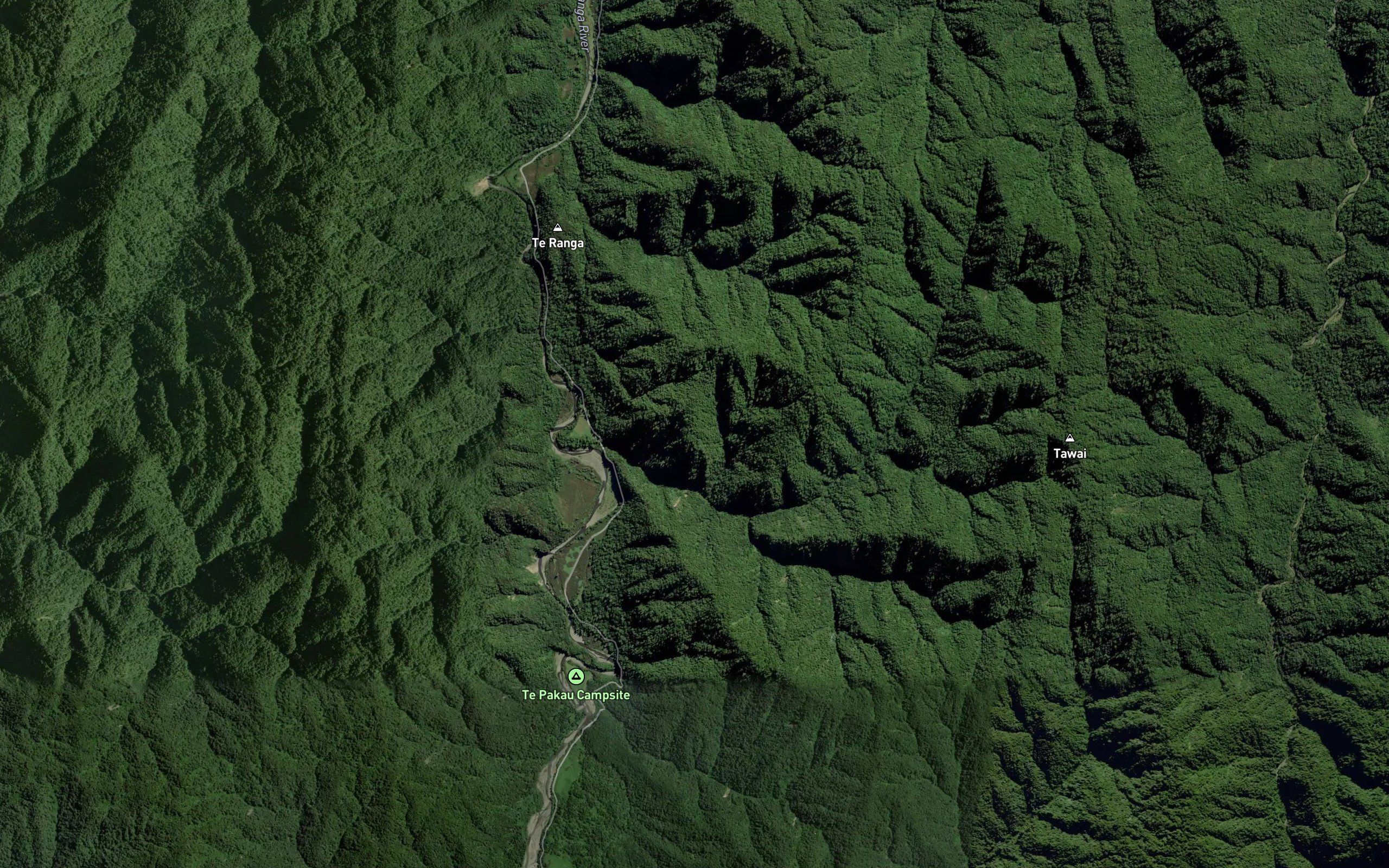 Ngutuoha Stream