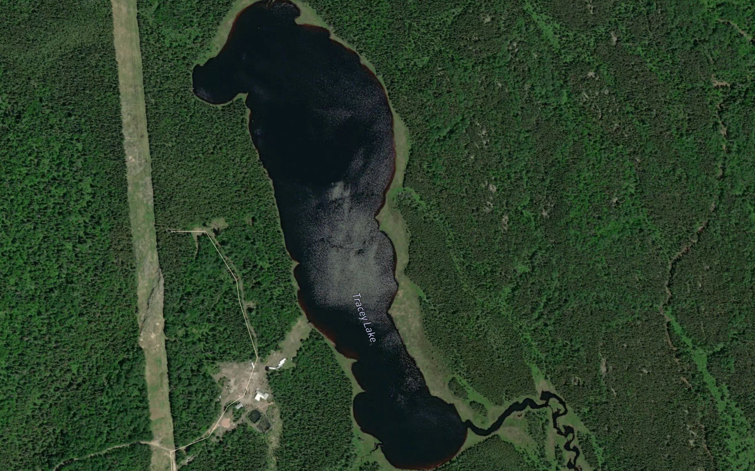 Tracey Lake
