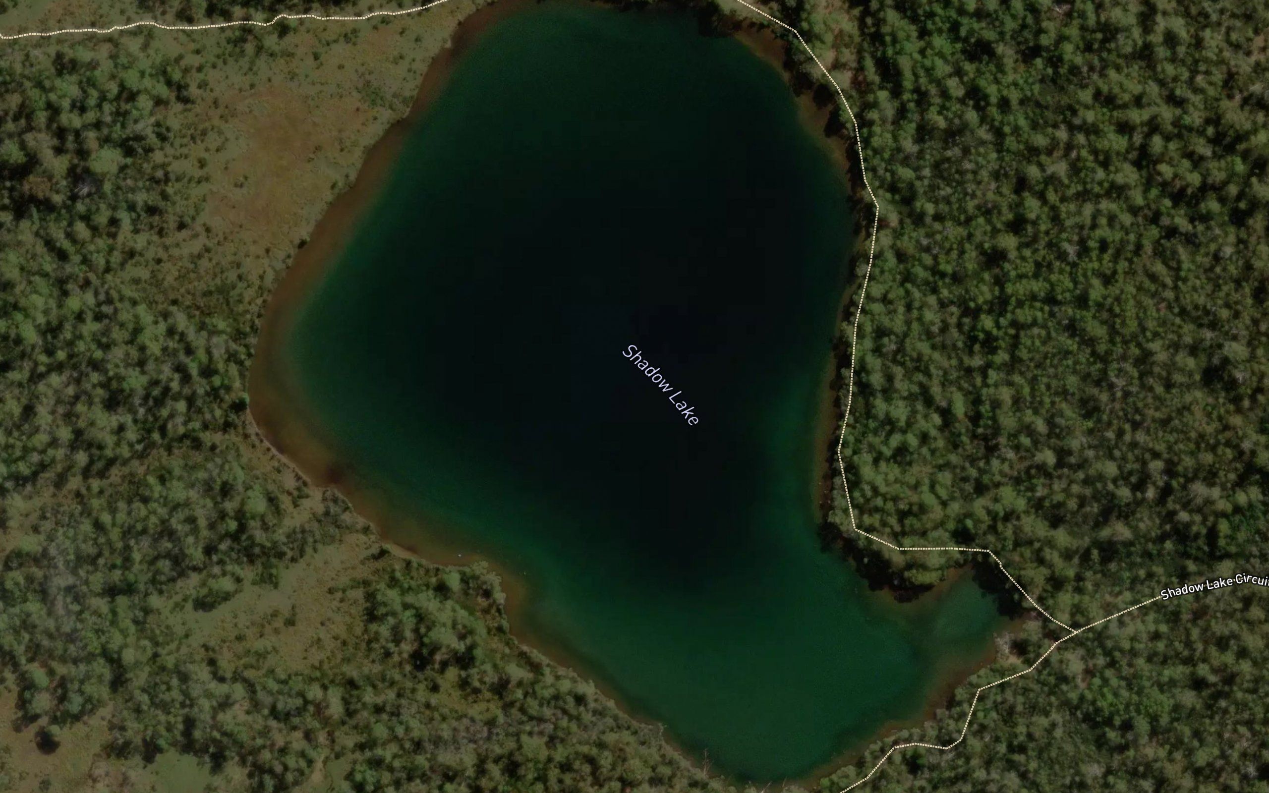 Shadow Lake