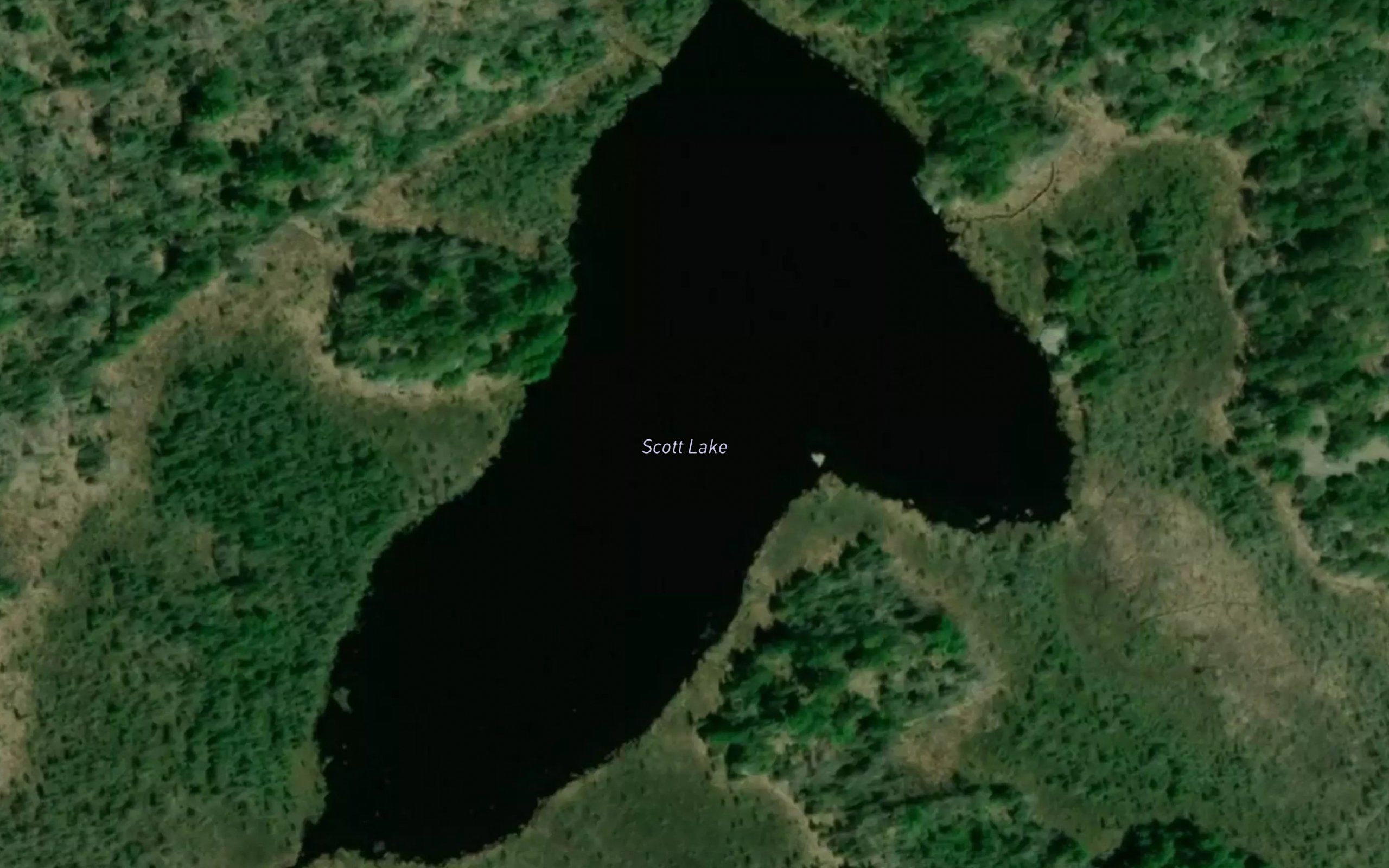 Scott Lake