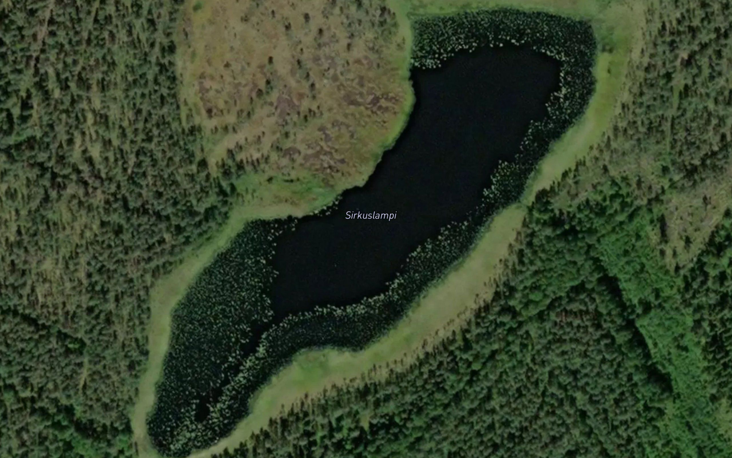 Sirkuslampi