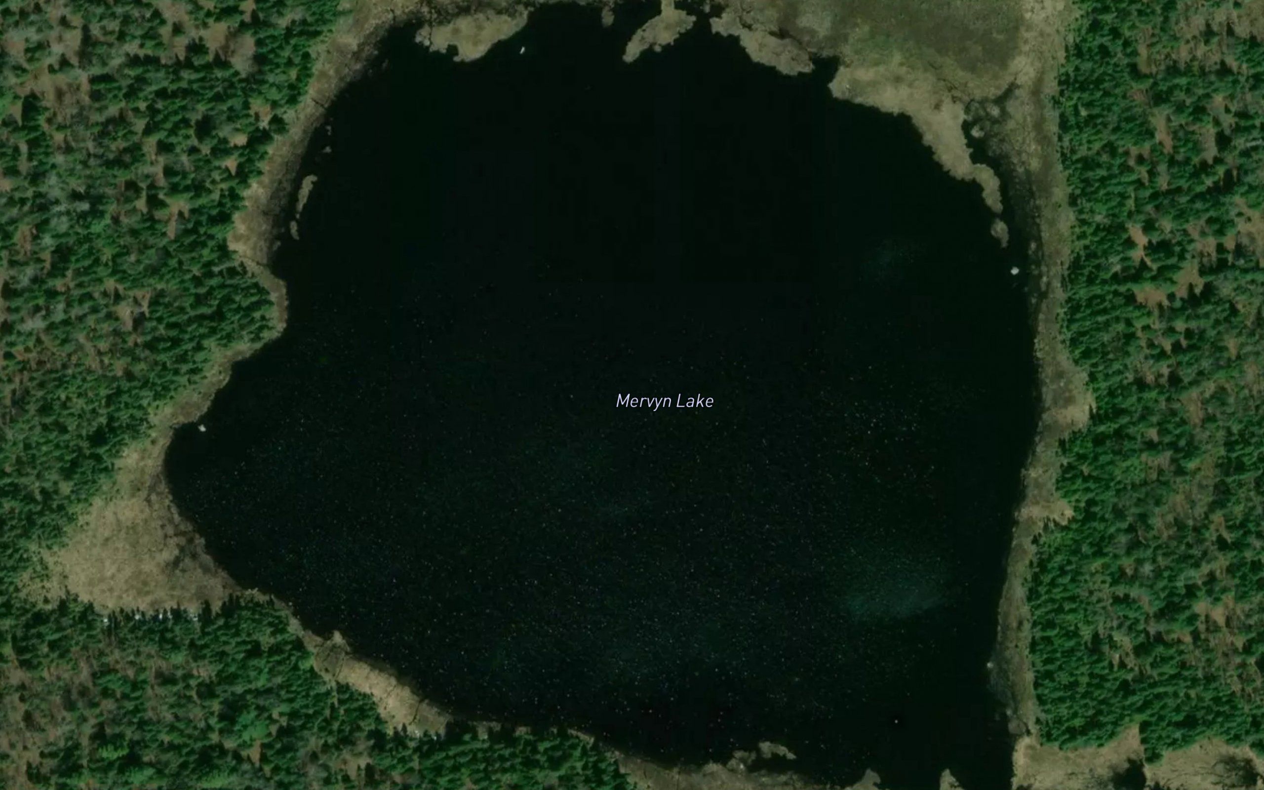 Mervyn Lake