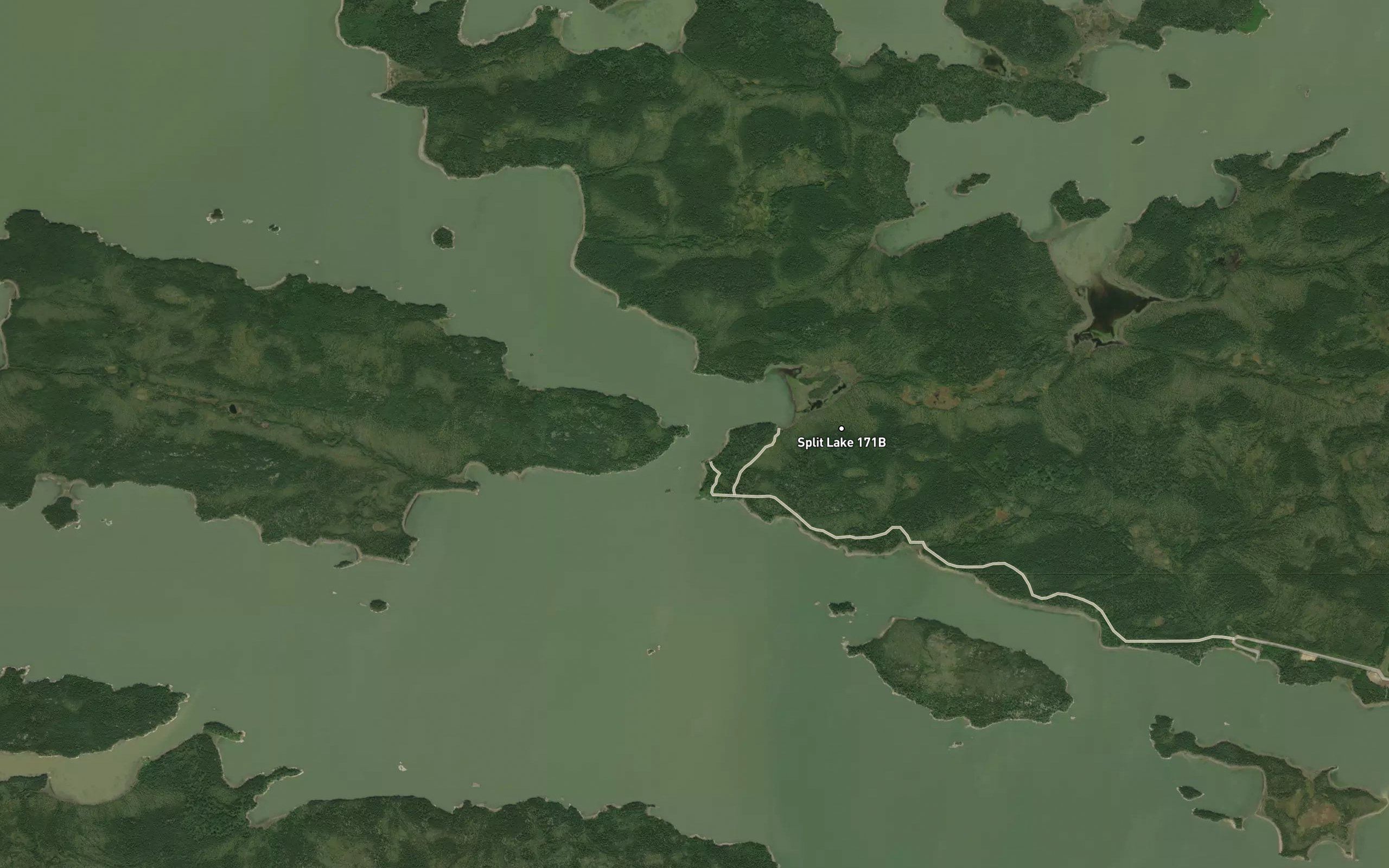 Upistipaneus Narrows