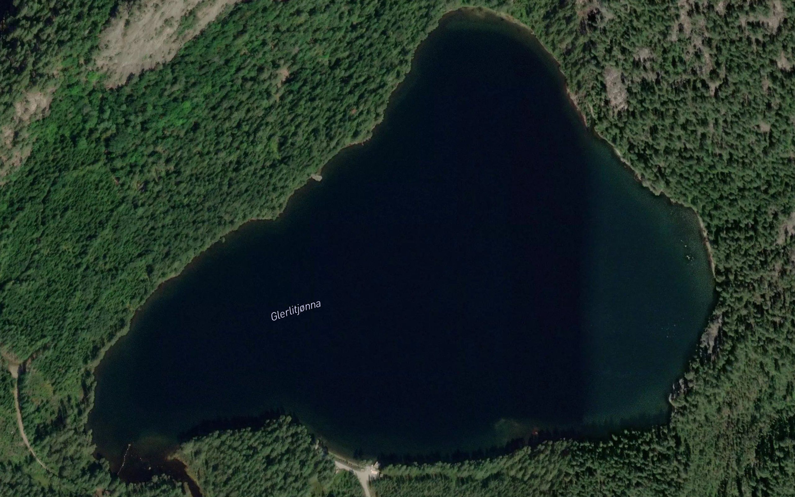 Glerlitjorna