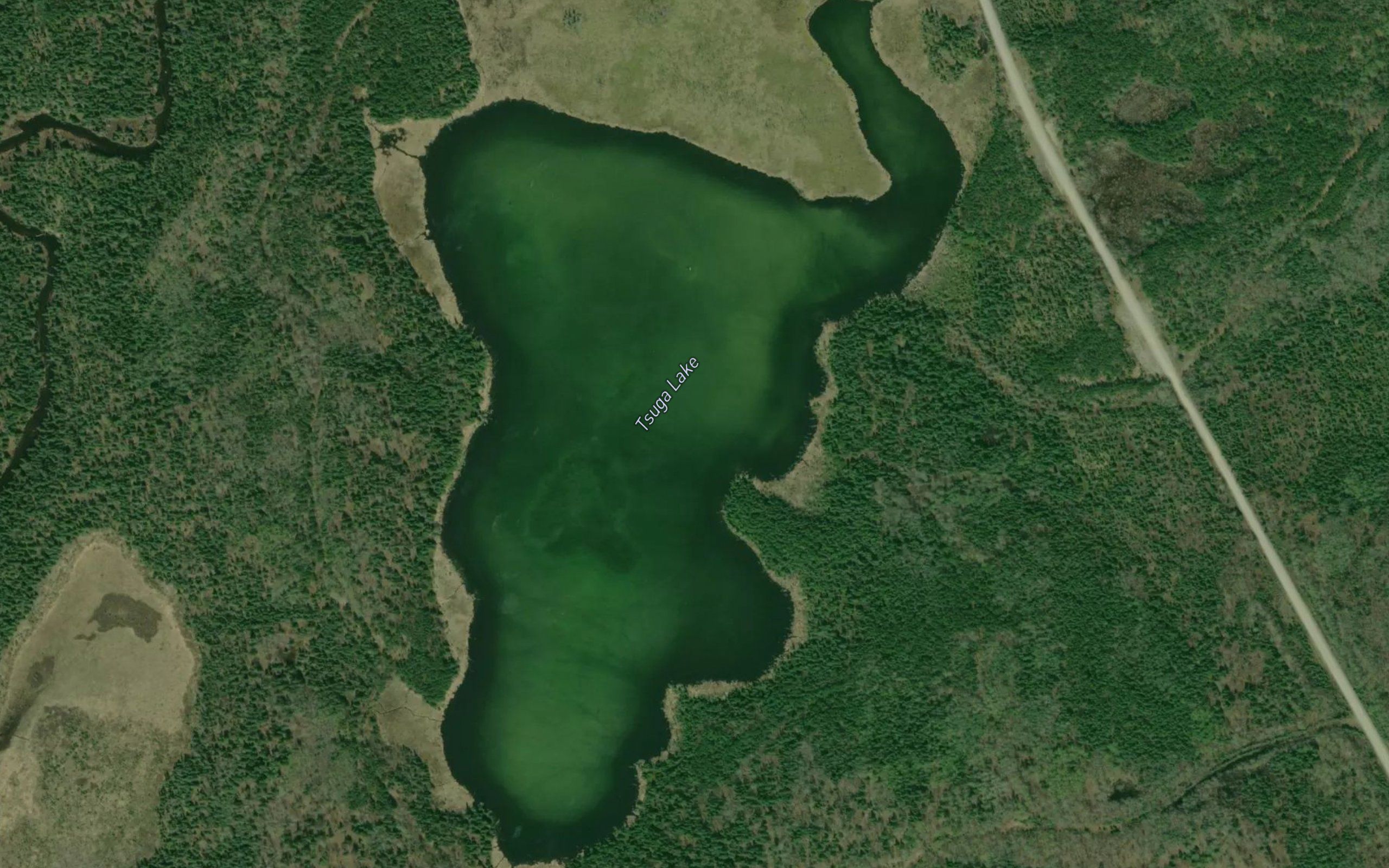 Tsuga Lake