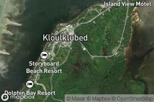 North Mangrove Swamp East