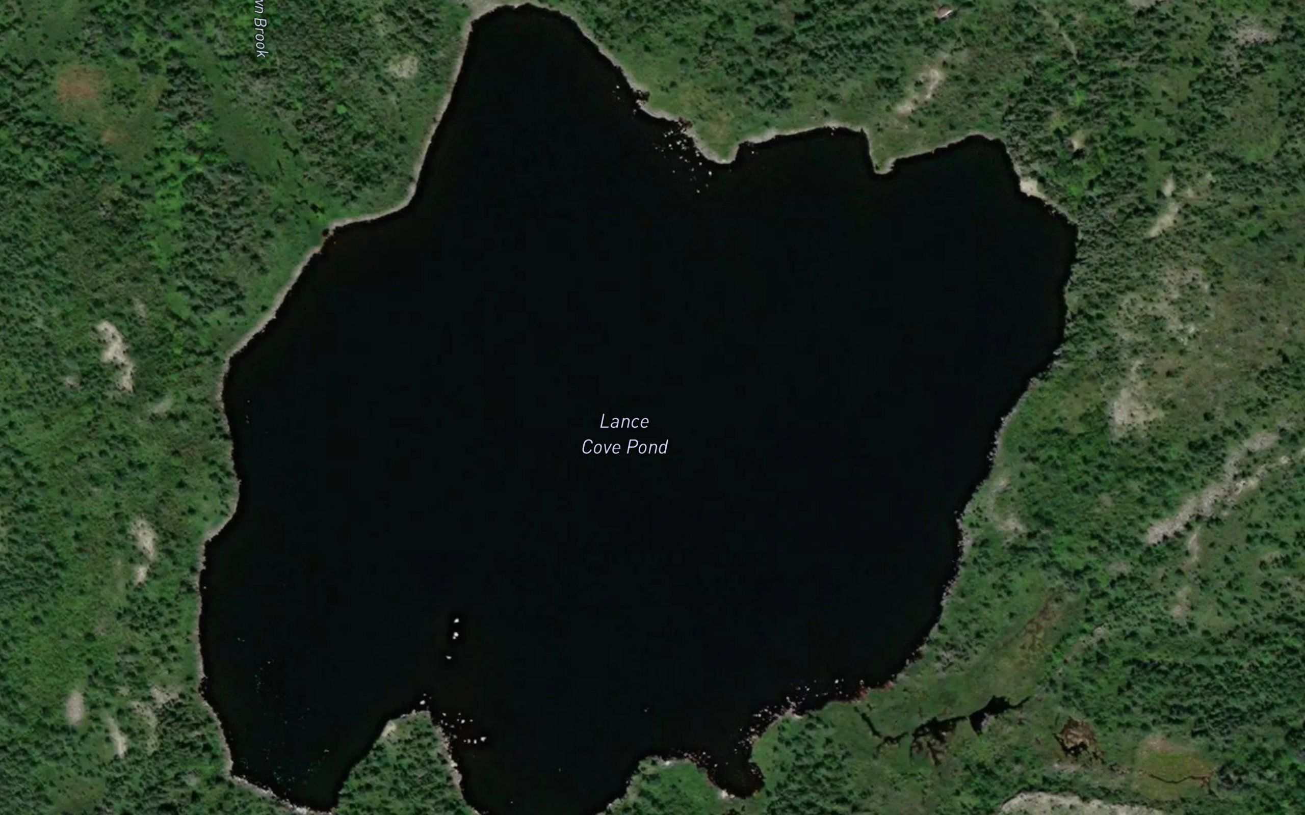 Lance Cove Pond