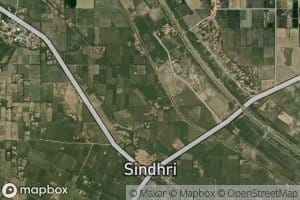 Sindhri Minor