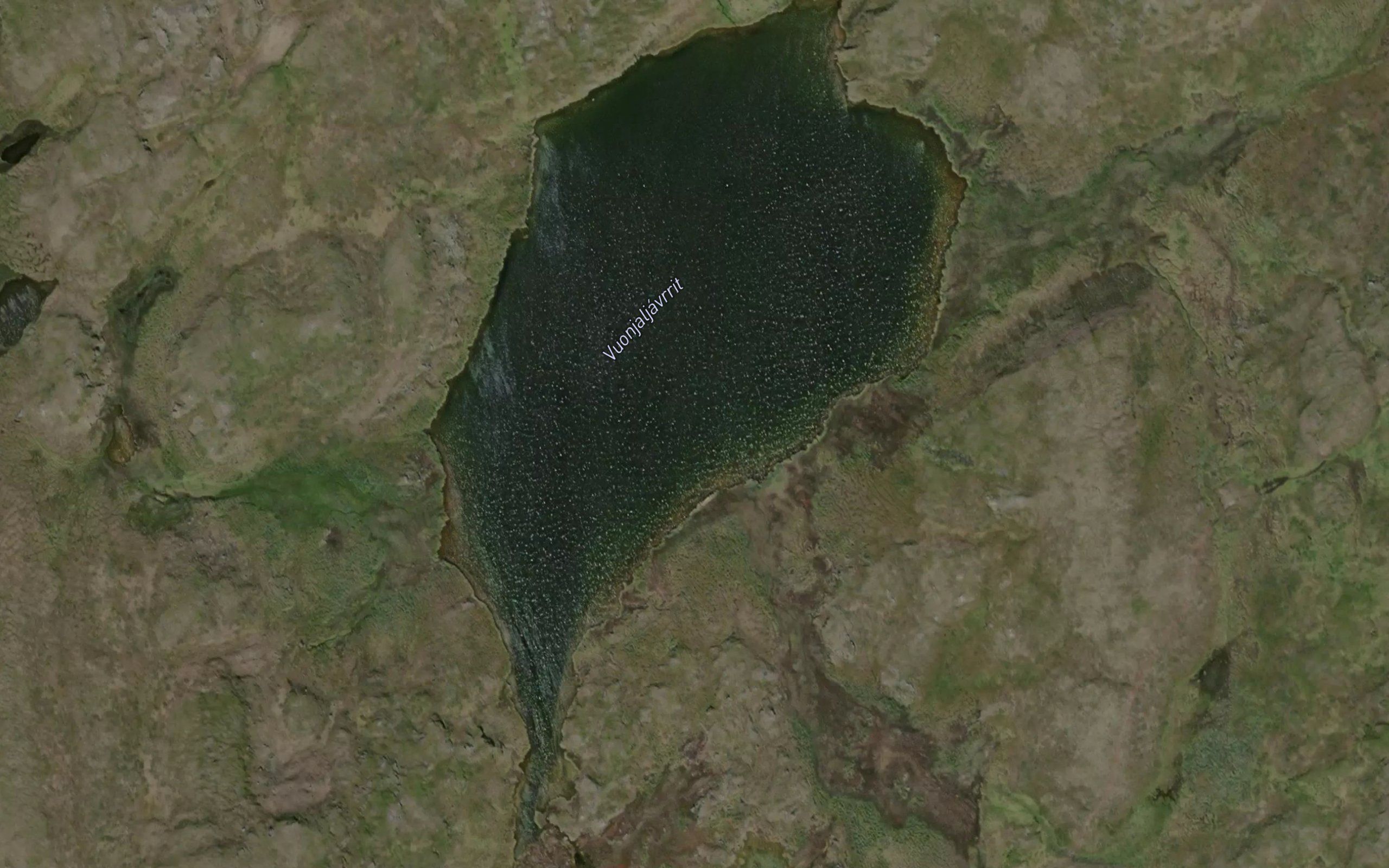 Vuonjaljavrit