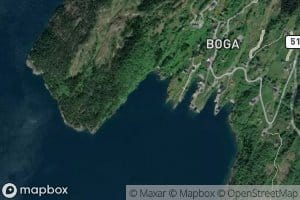 Bogavikane
