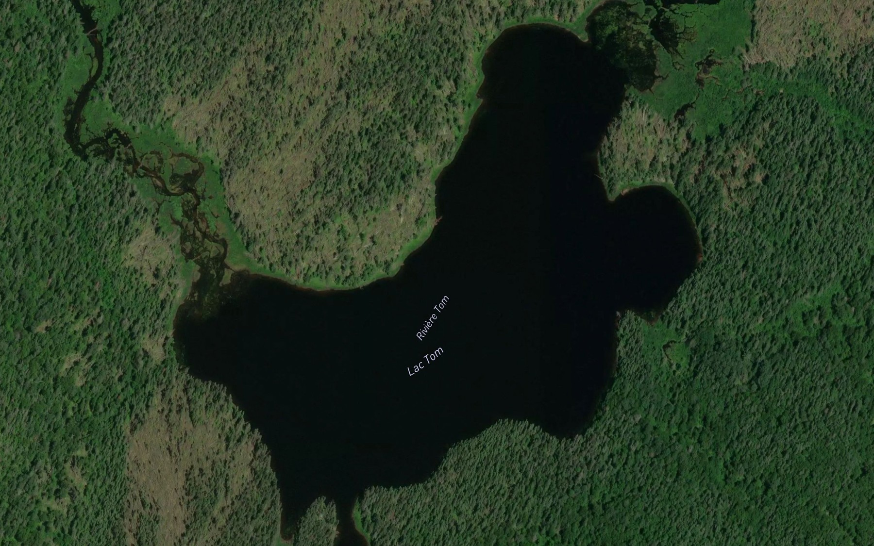 Satellite map of the Lac Tom