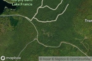 West Branch Cedar Stream