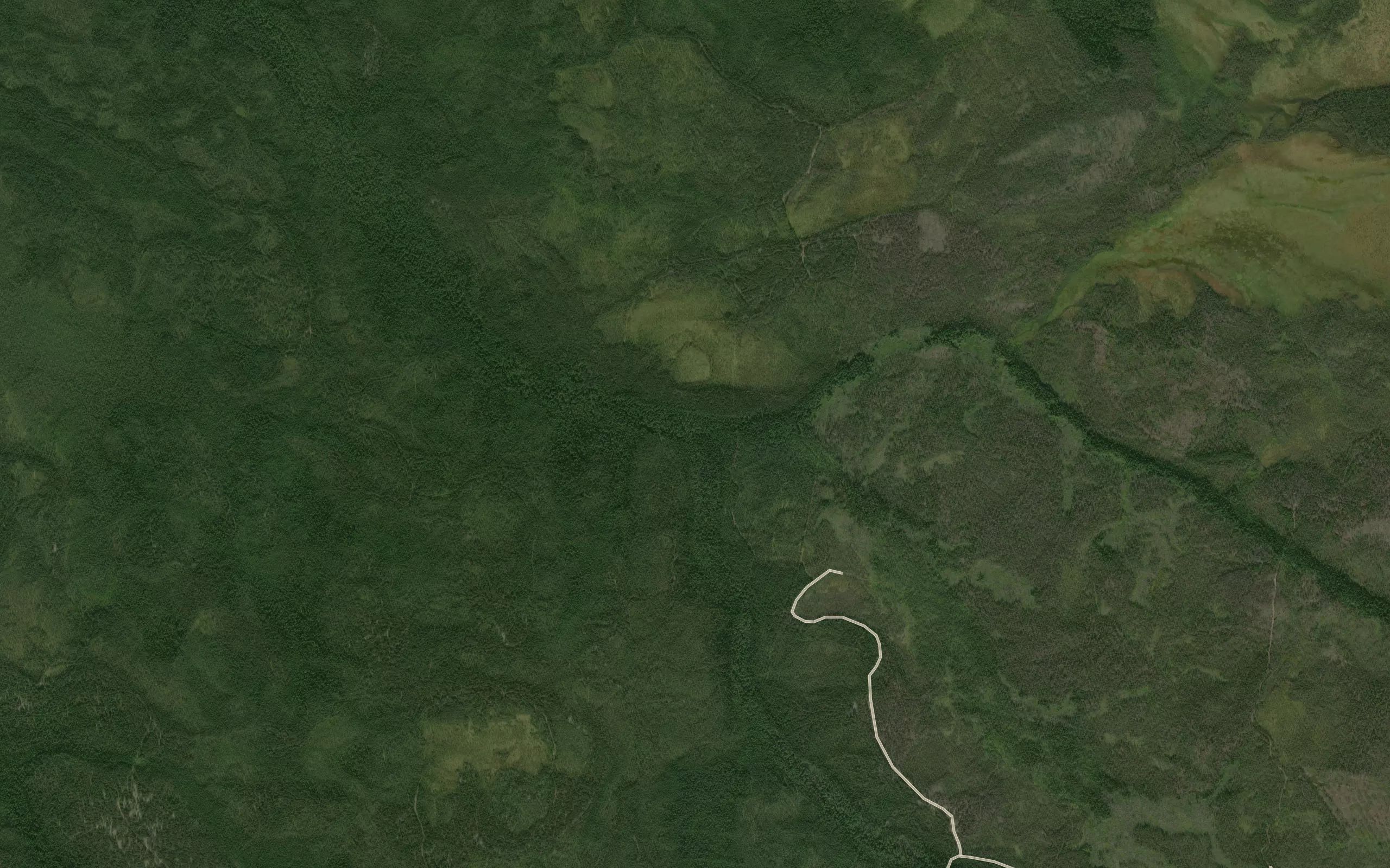 Ogorodnaya
