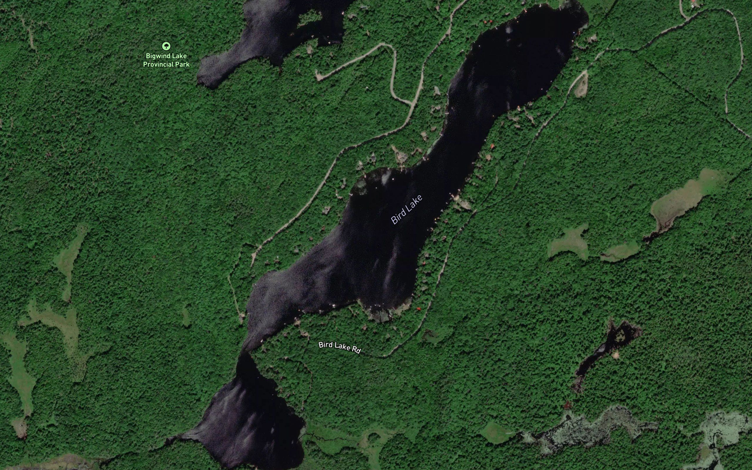 Bird Lake