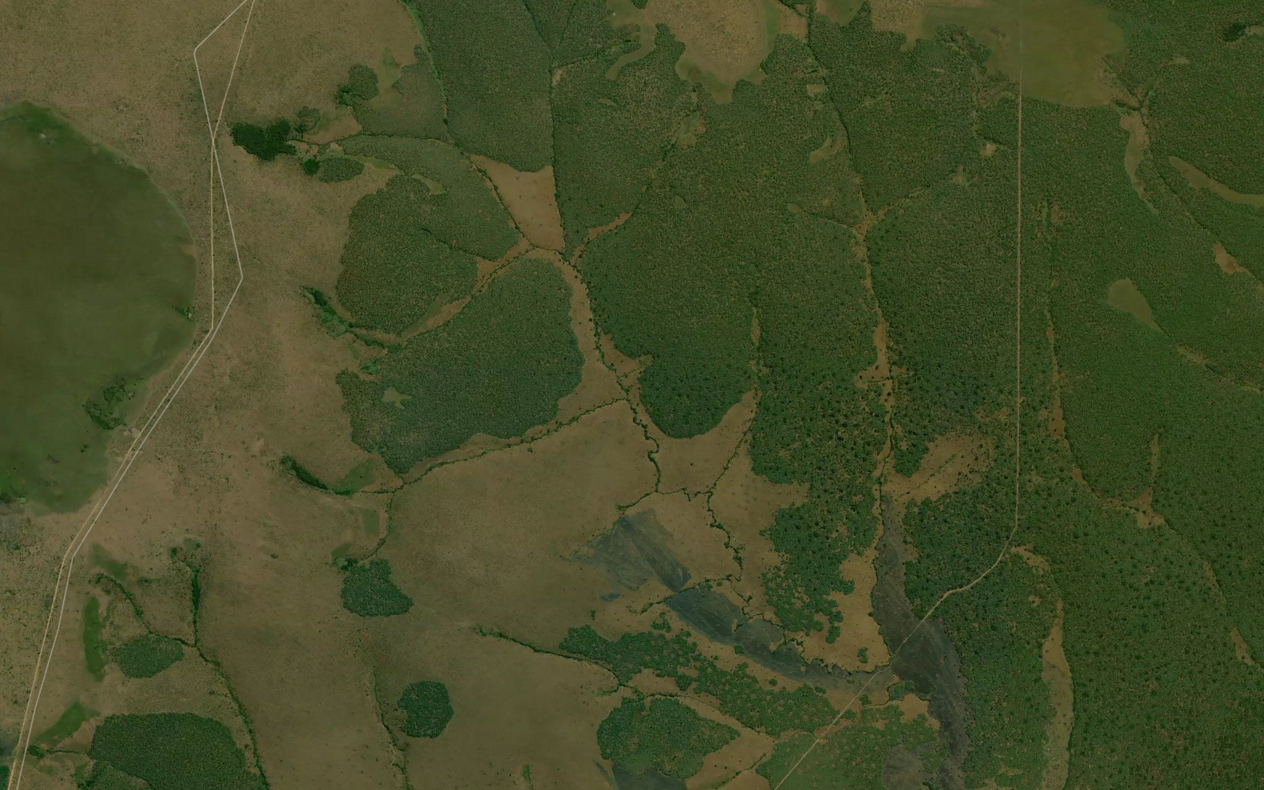Kamakulo