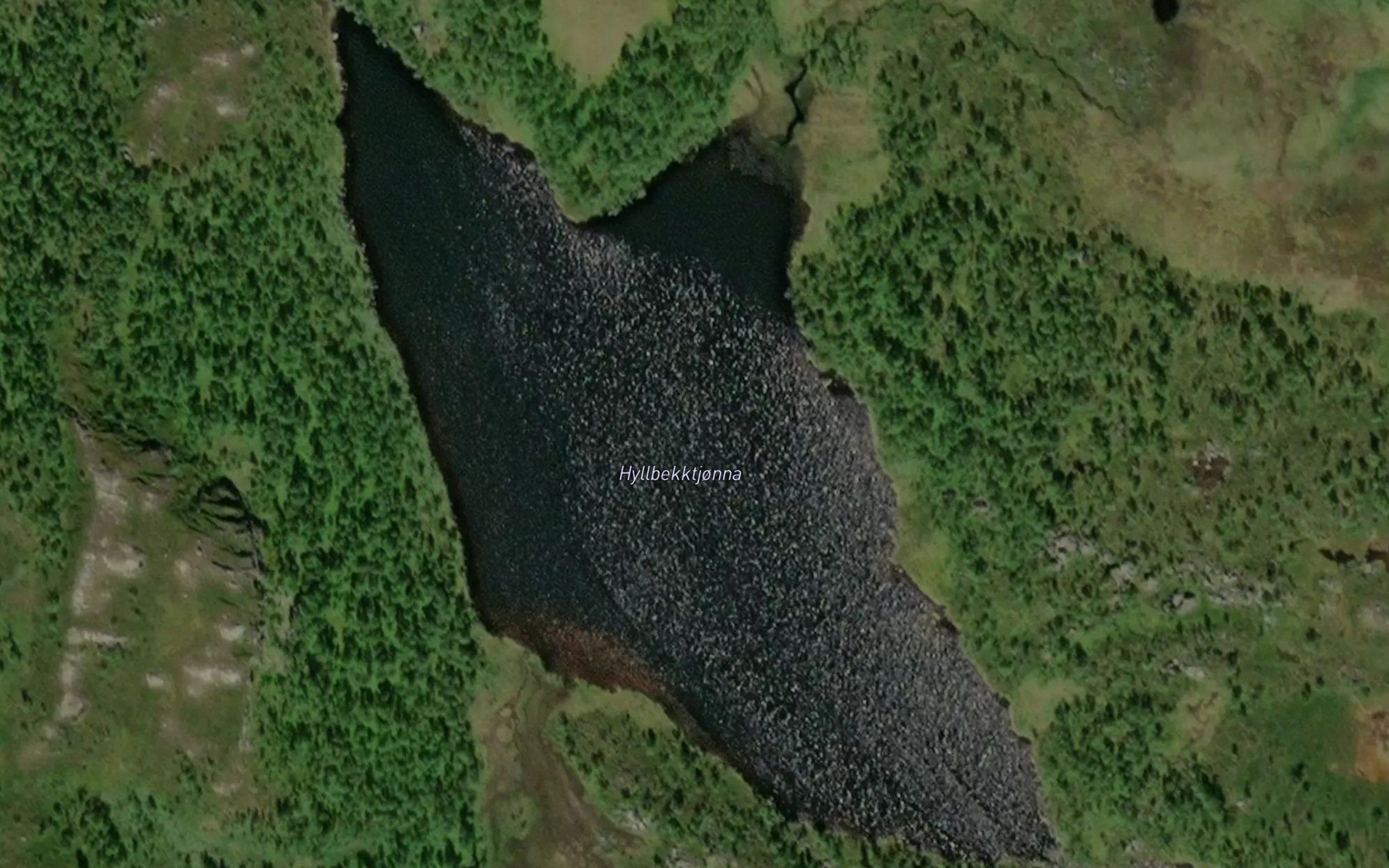 Hyllbekktjorna