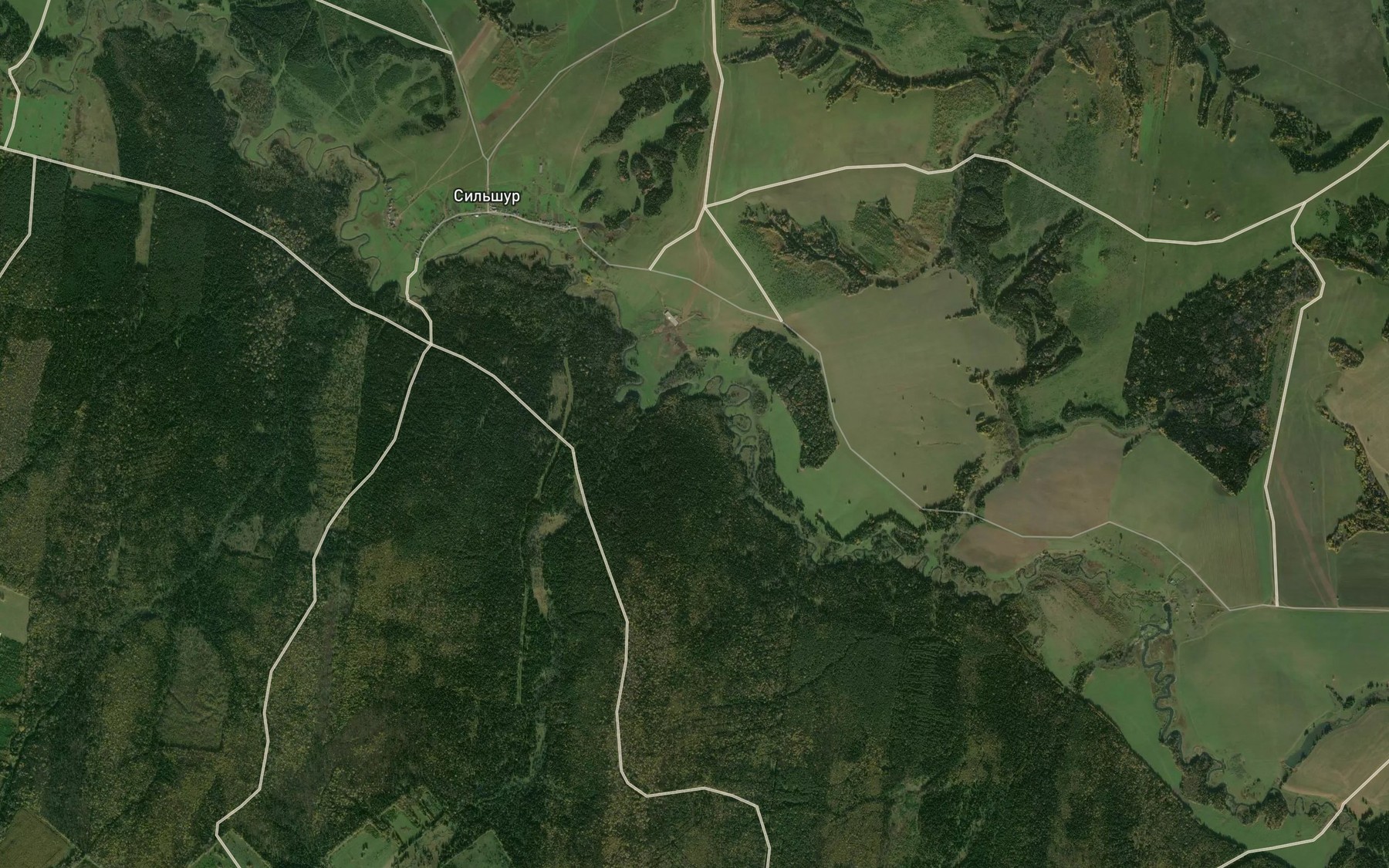 Satellite map of the Syurzya