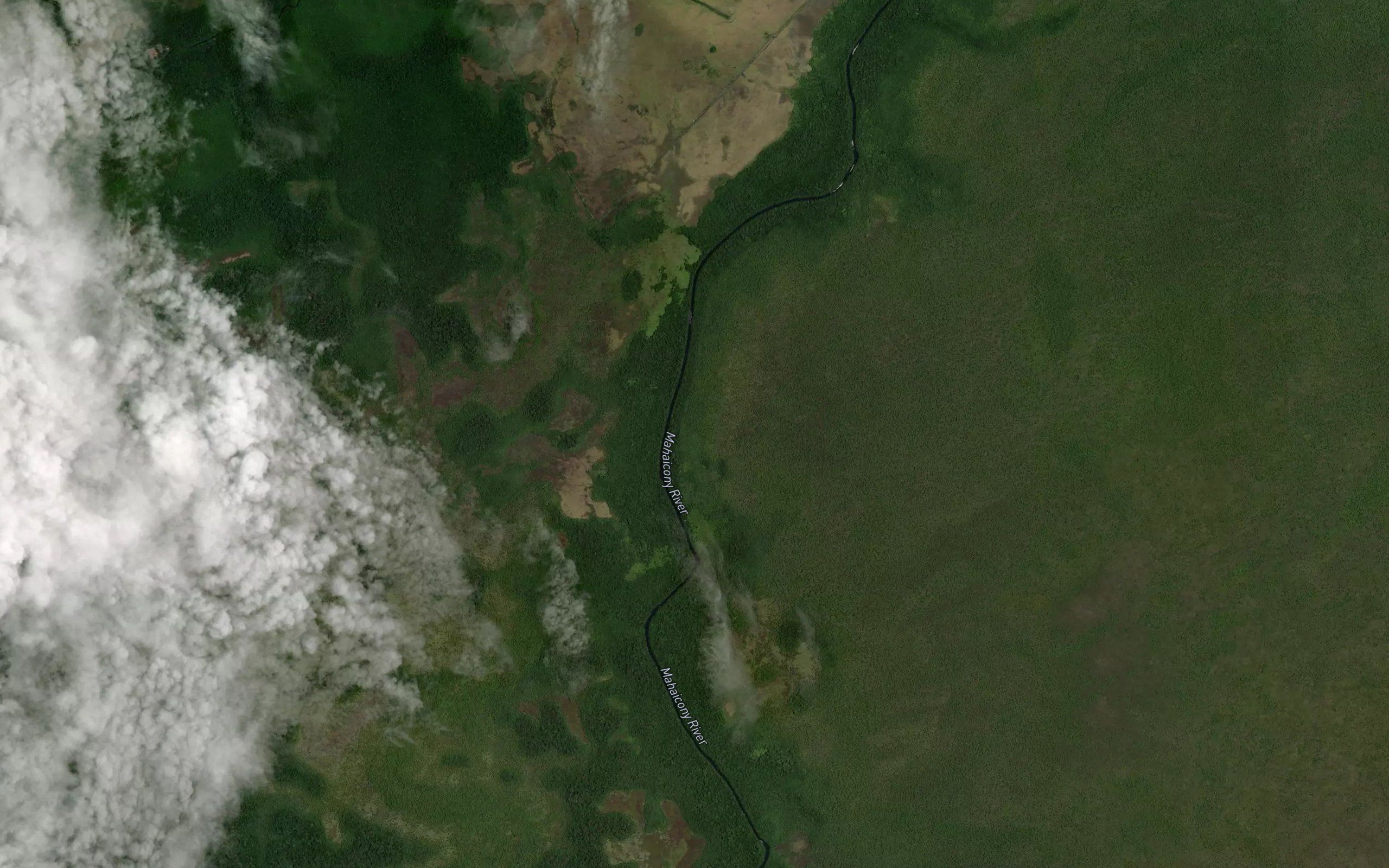 Congo Tom Creek