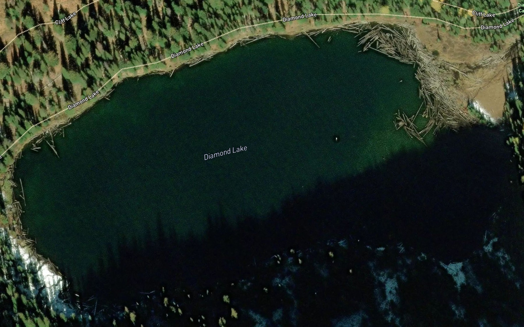 Satellite map of the Diamond Lake