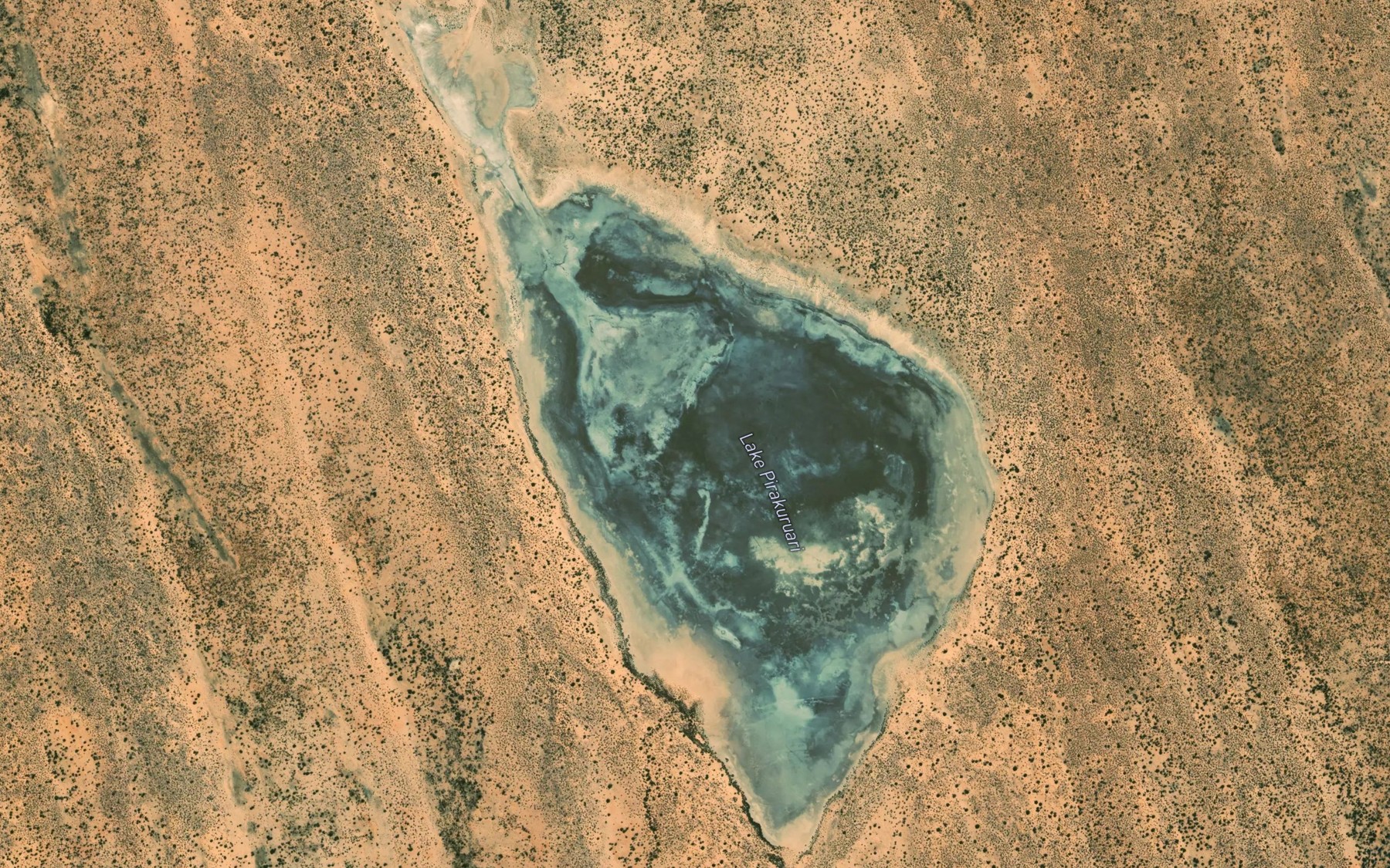 Satellite map of the Lake Pirakuruari