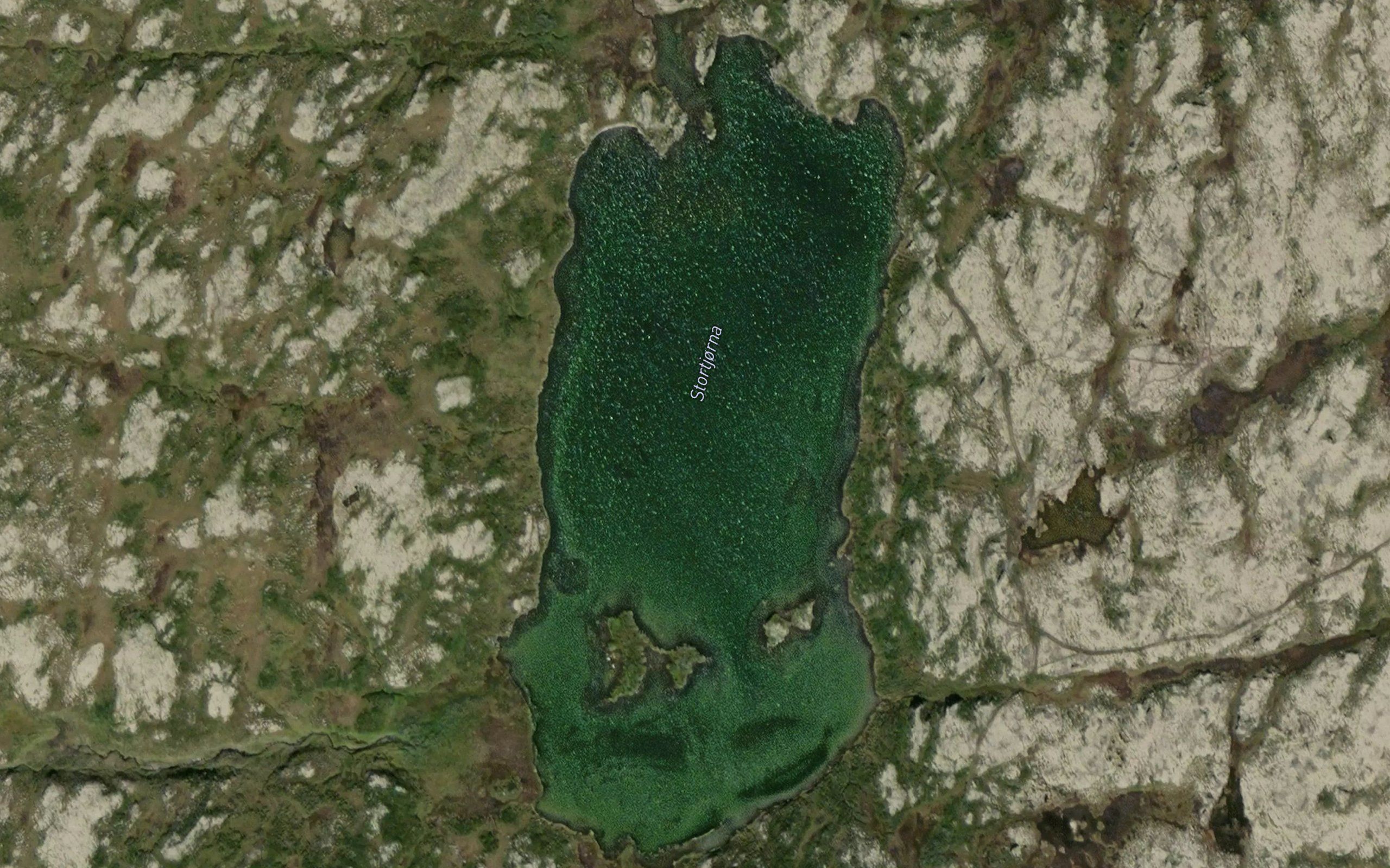 Stortjorna