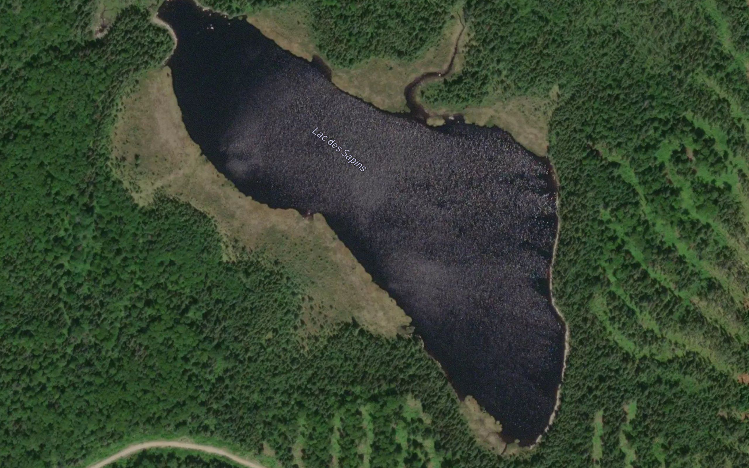 Lac des Sapins